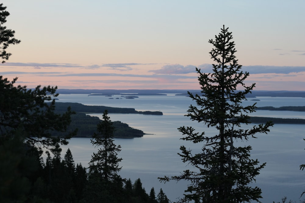 a view of a lake and some trees