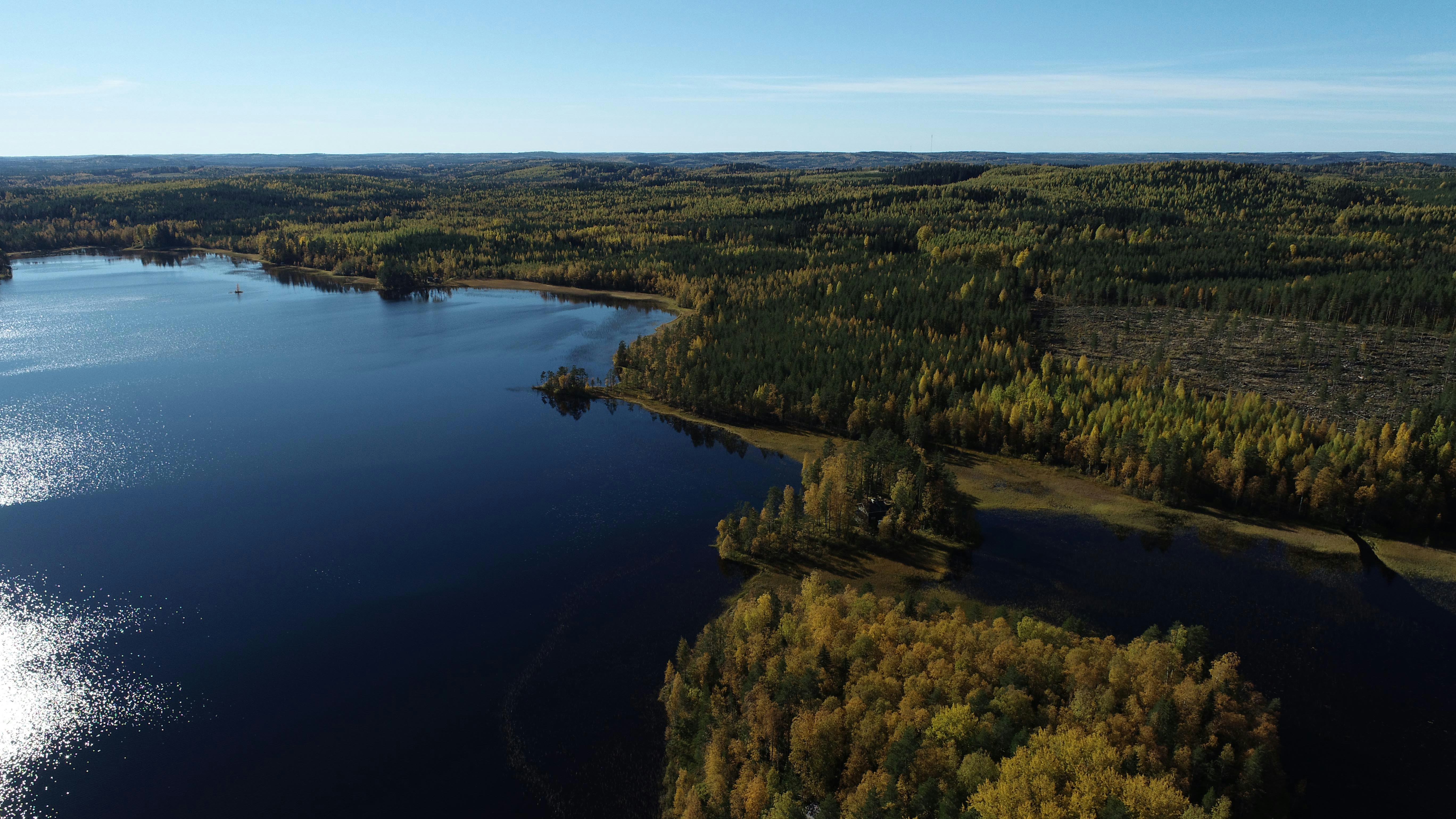 Photo by panuturunen