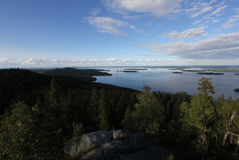 a view of a lake surrounded by trees