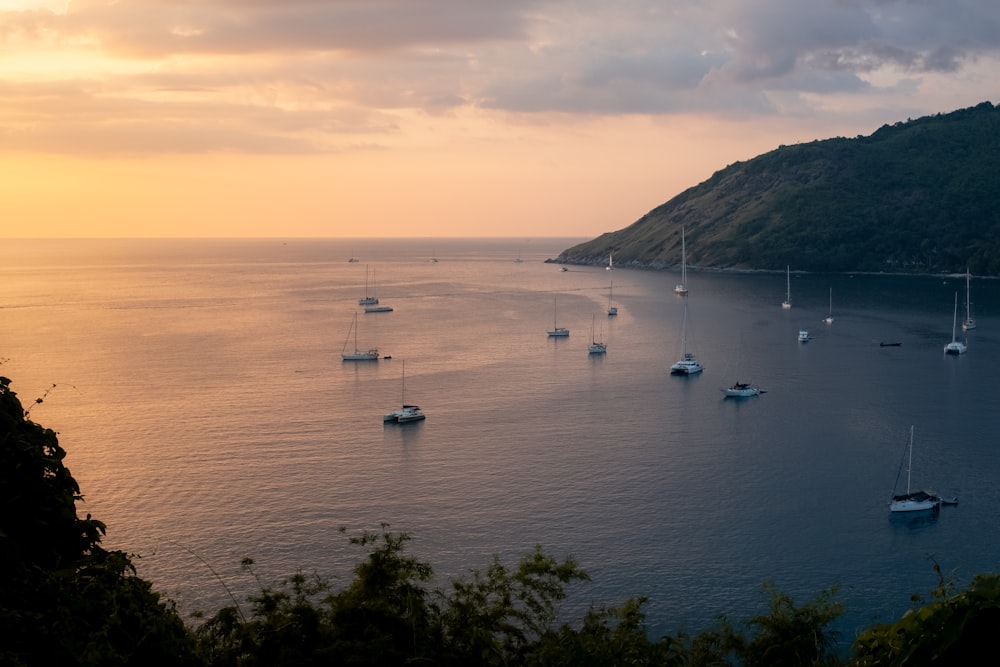 a group of boats floating on top of a large body of water