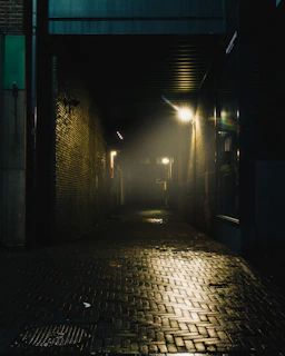 A melancholic alley at night, wet from rain, with faint neon reflections and drifting fog.