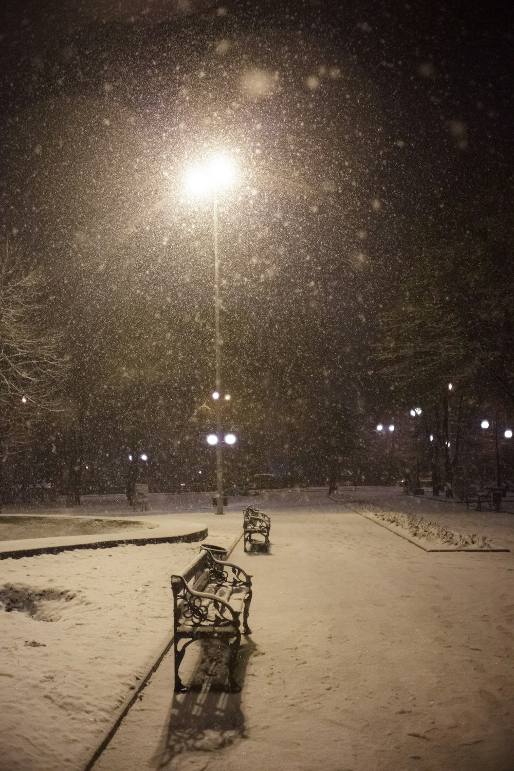 a park bench covered in snow at night