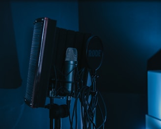 a microphone and a microphone stand in a dark room