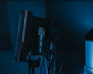 a microphone and a microphone stand in a dark room