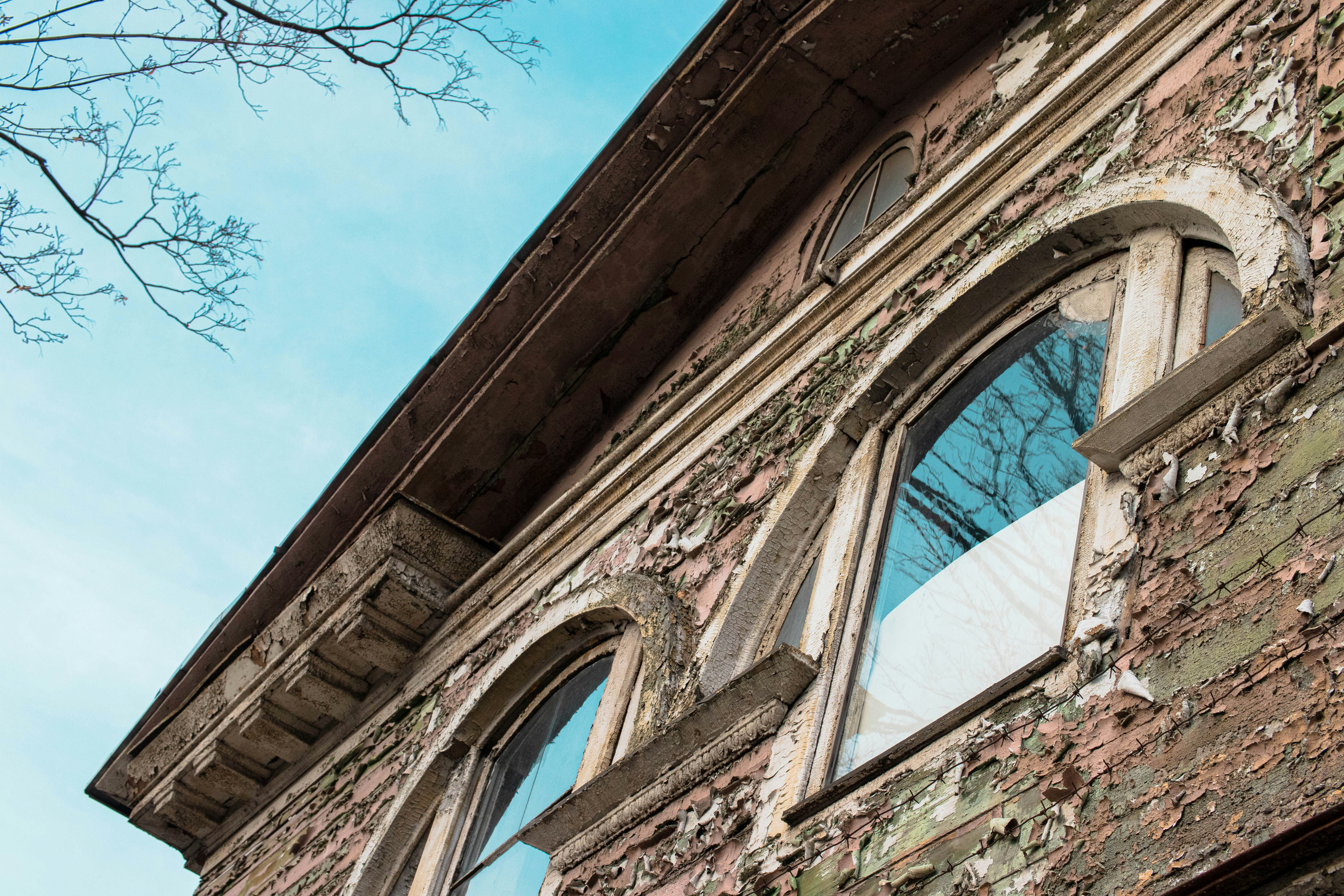 Photo by alpridephoto