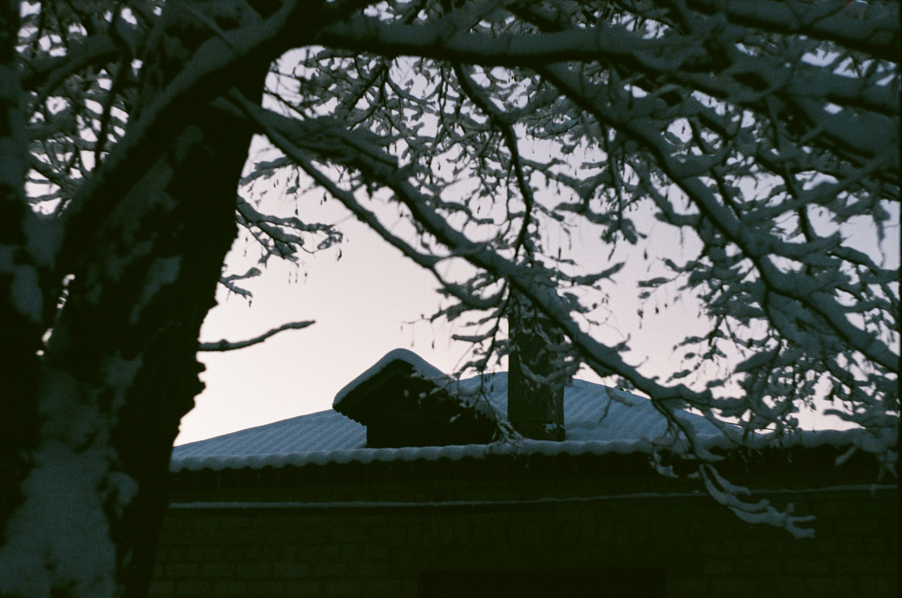 Photo by ana_petrenko