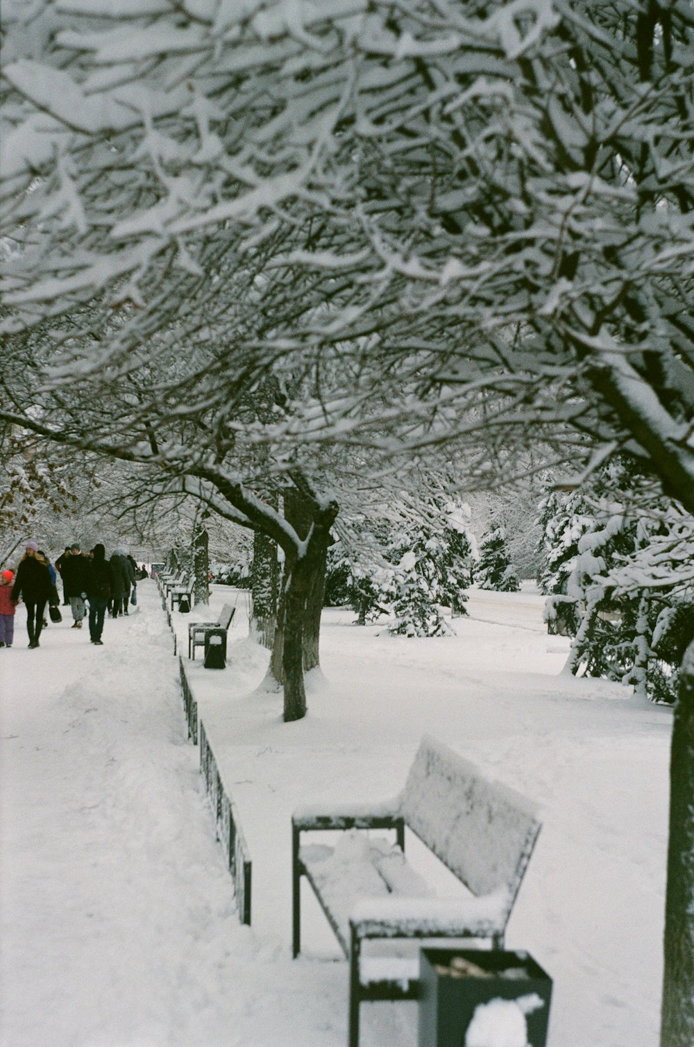 a park bench covered in snow next to a tree