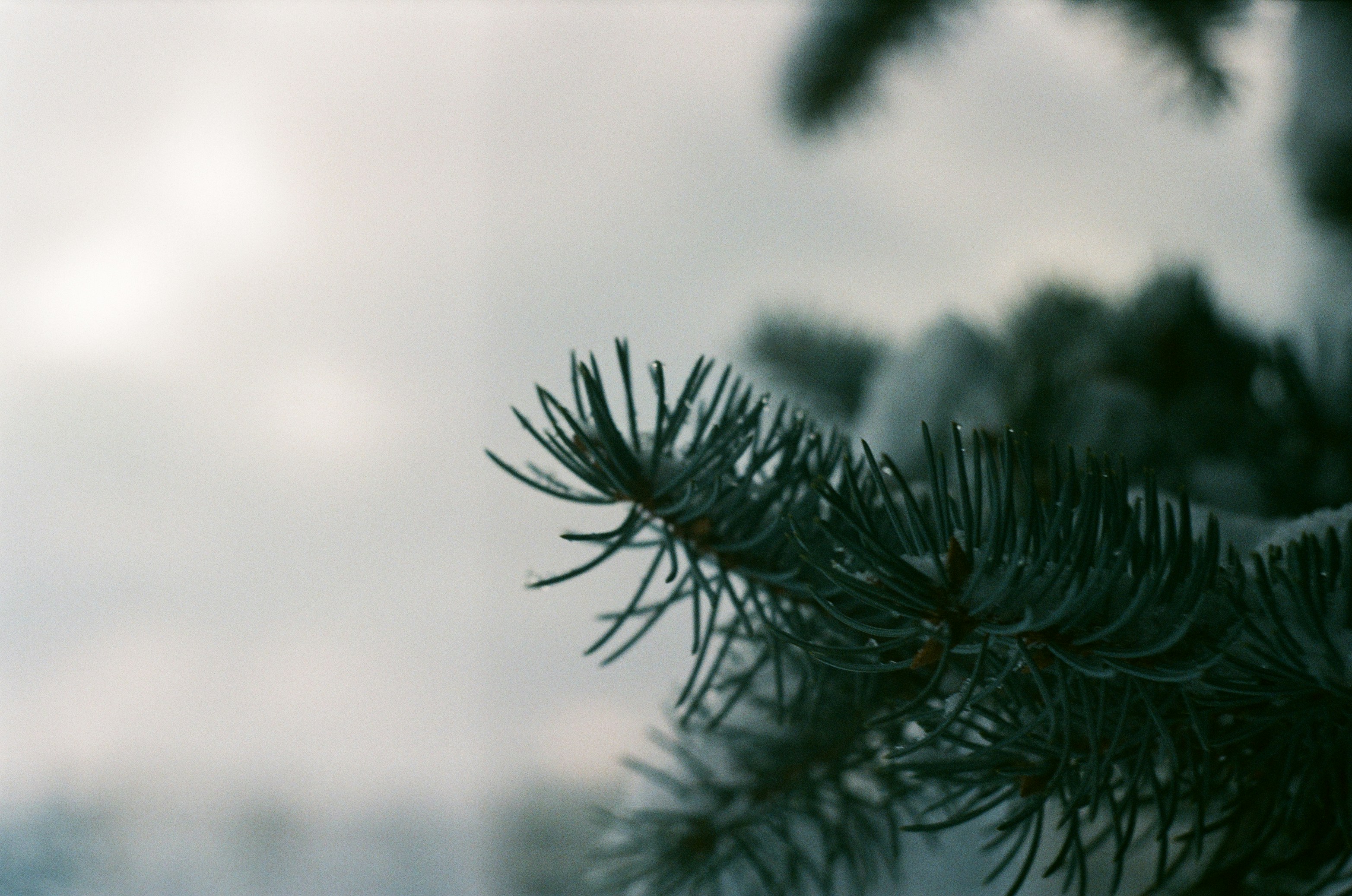 Photo by ana_petrenko