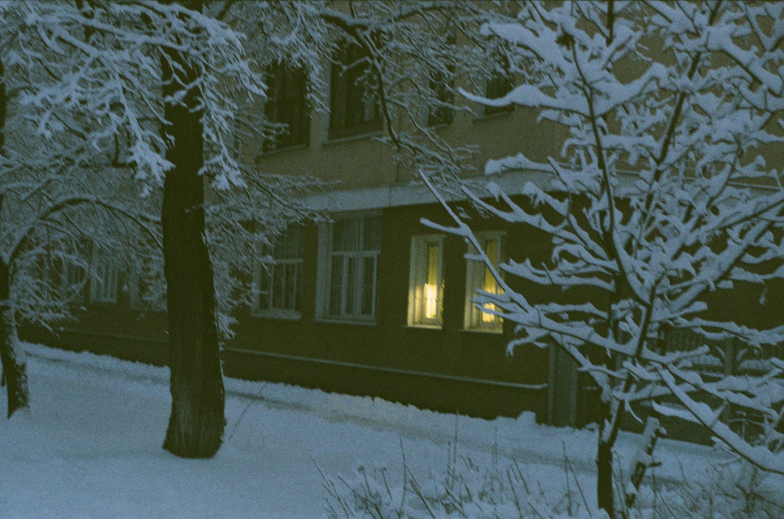 Photo by ana_petrenko