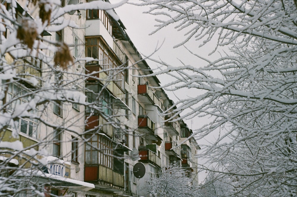 a snowy street lined with apartment buildings and trees