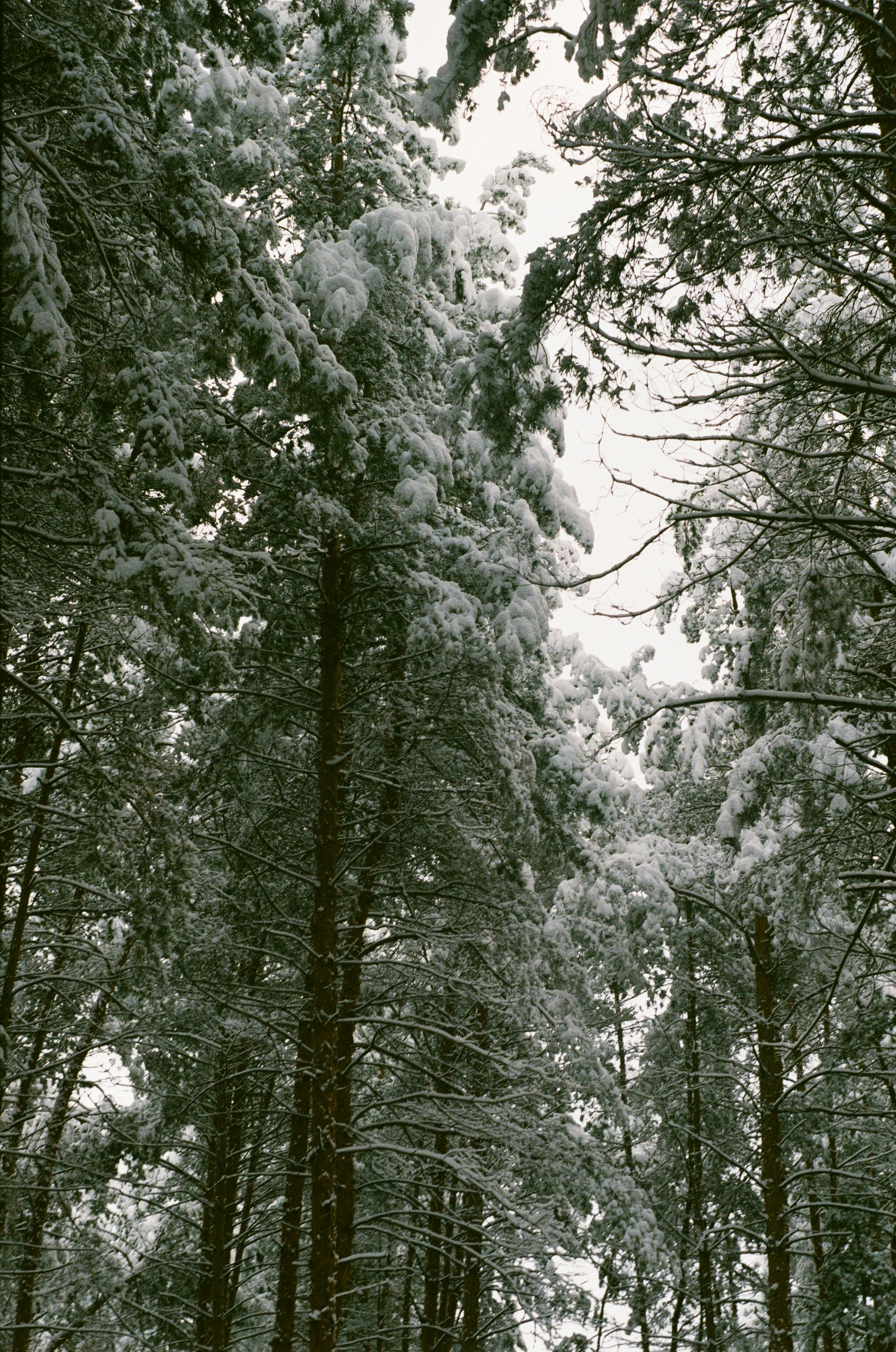 Photo by ana_petrenko