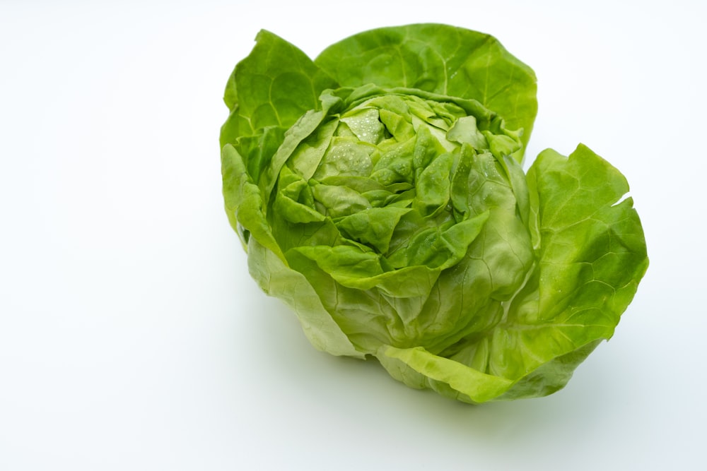 ein Salatkopf auf weißem Hintergrund