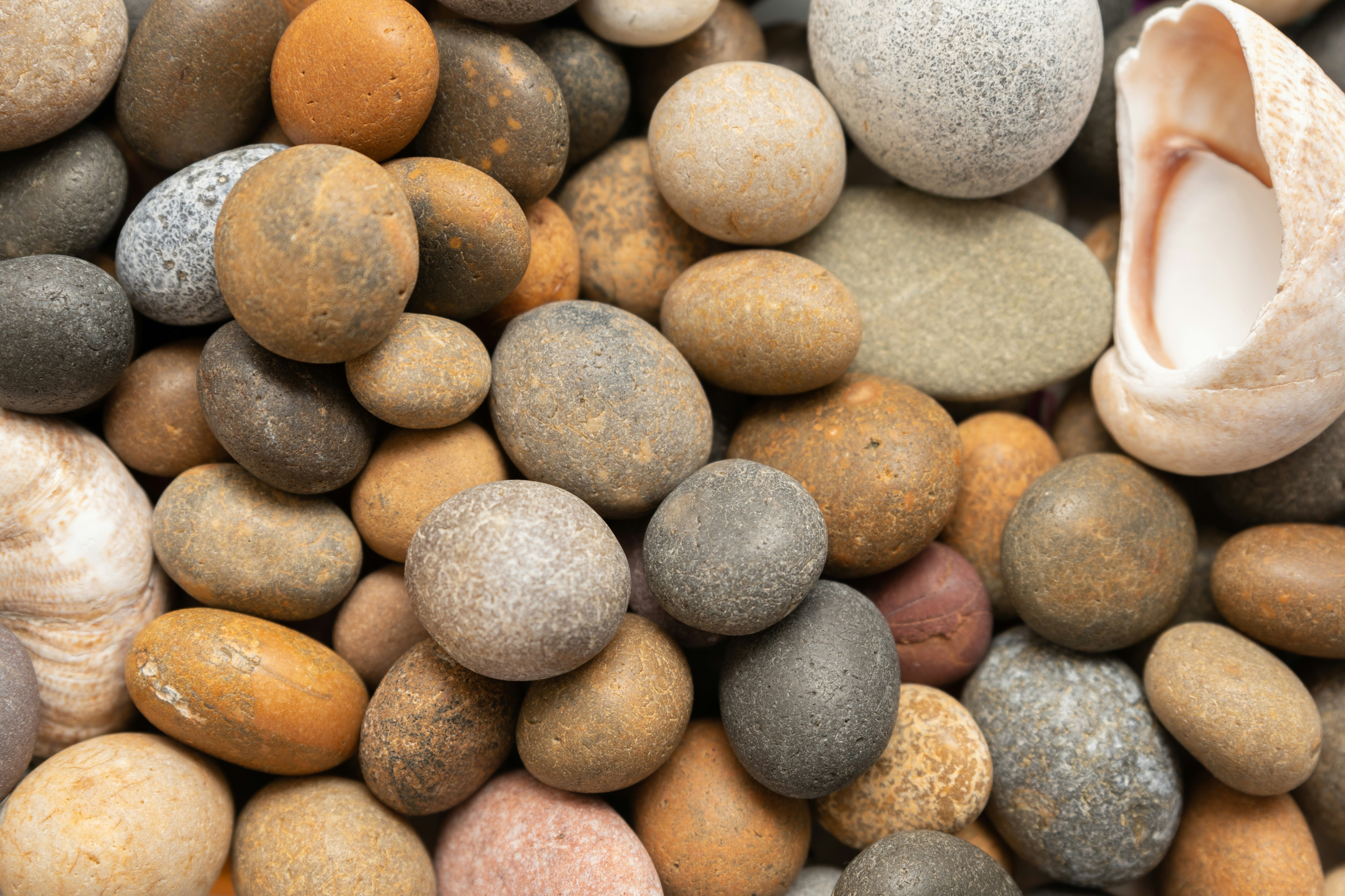 Photo by lovelyscape