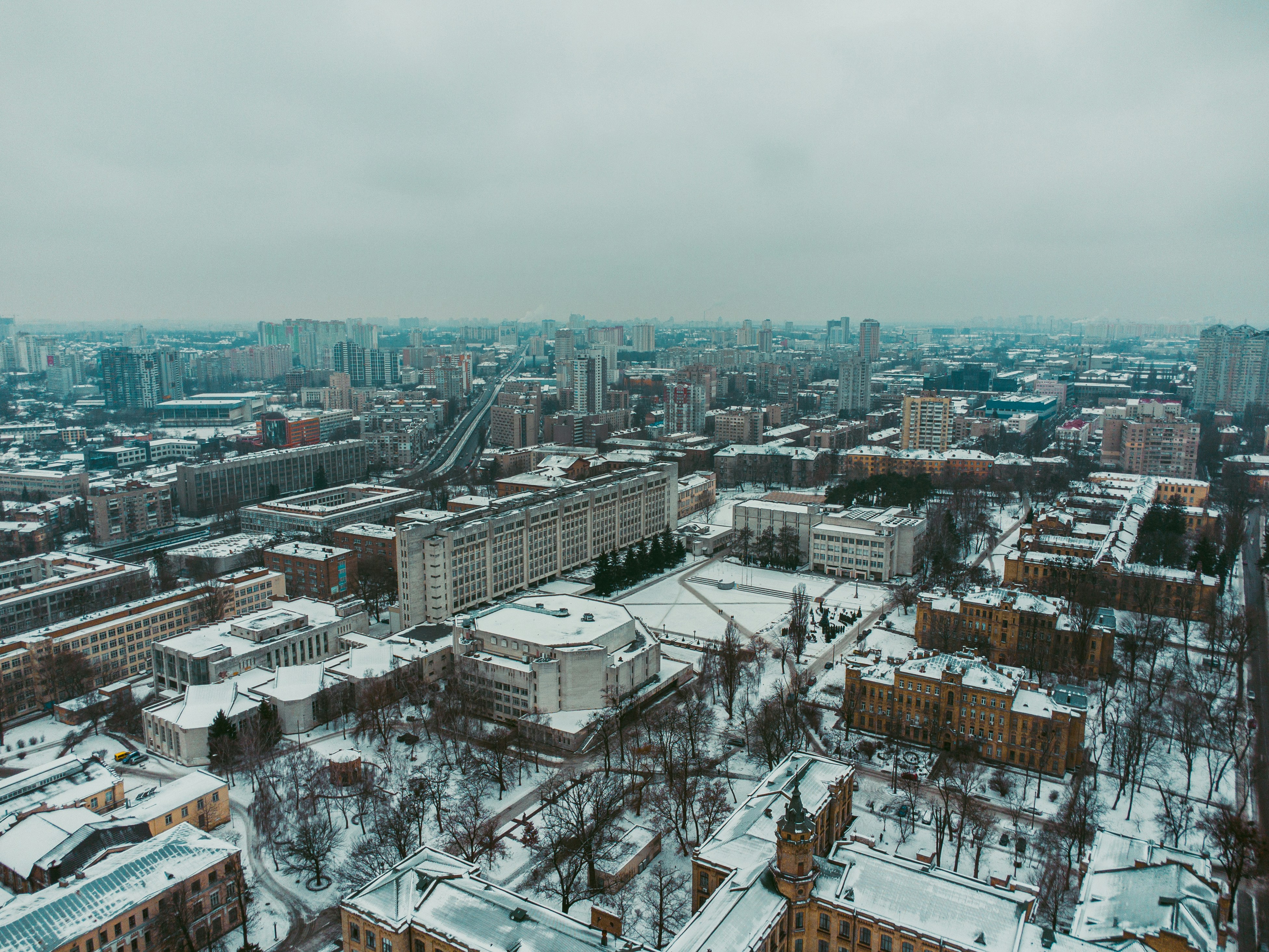 Photo by samoyedness