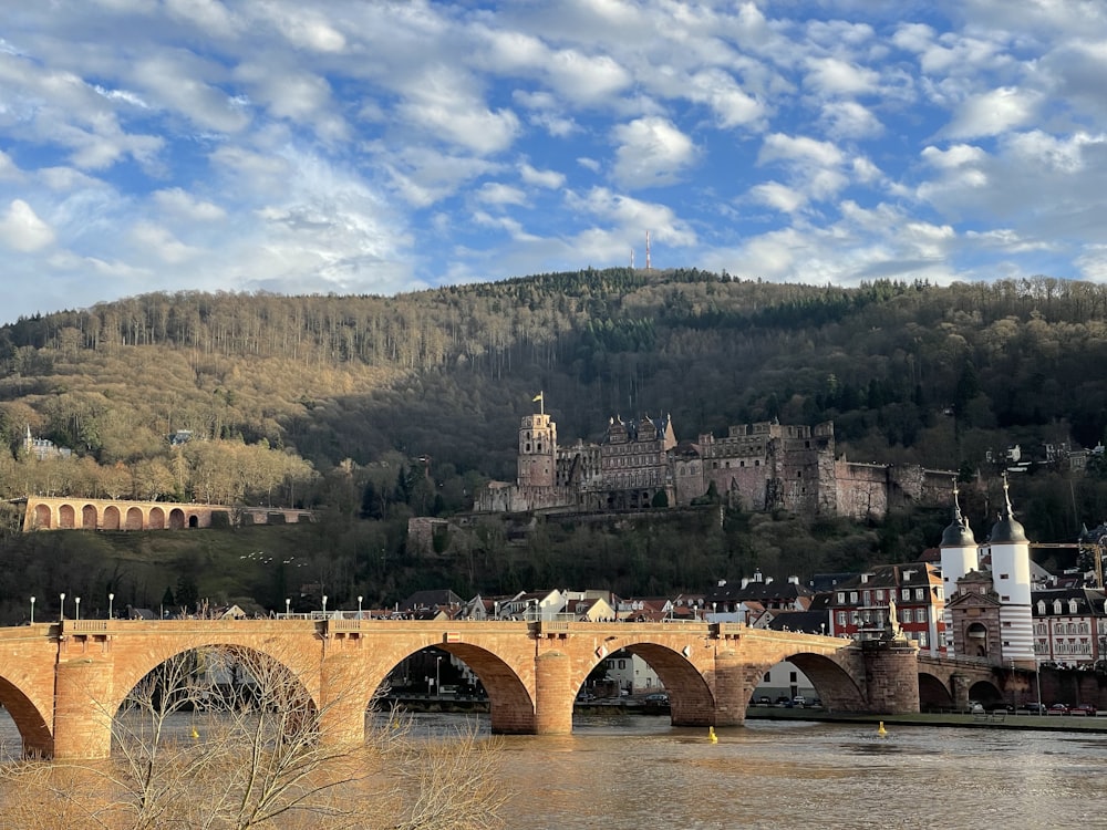 a bridge over a river with a castle in the background