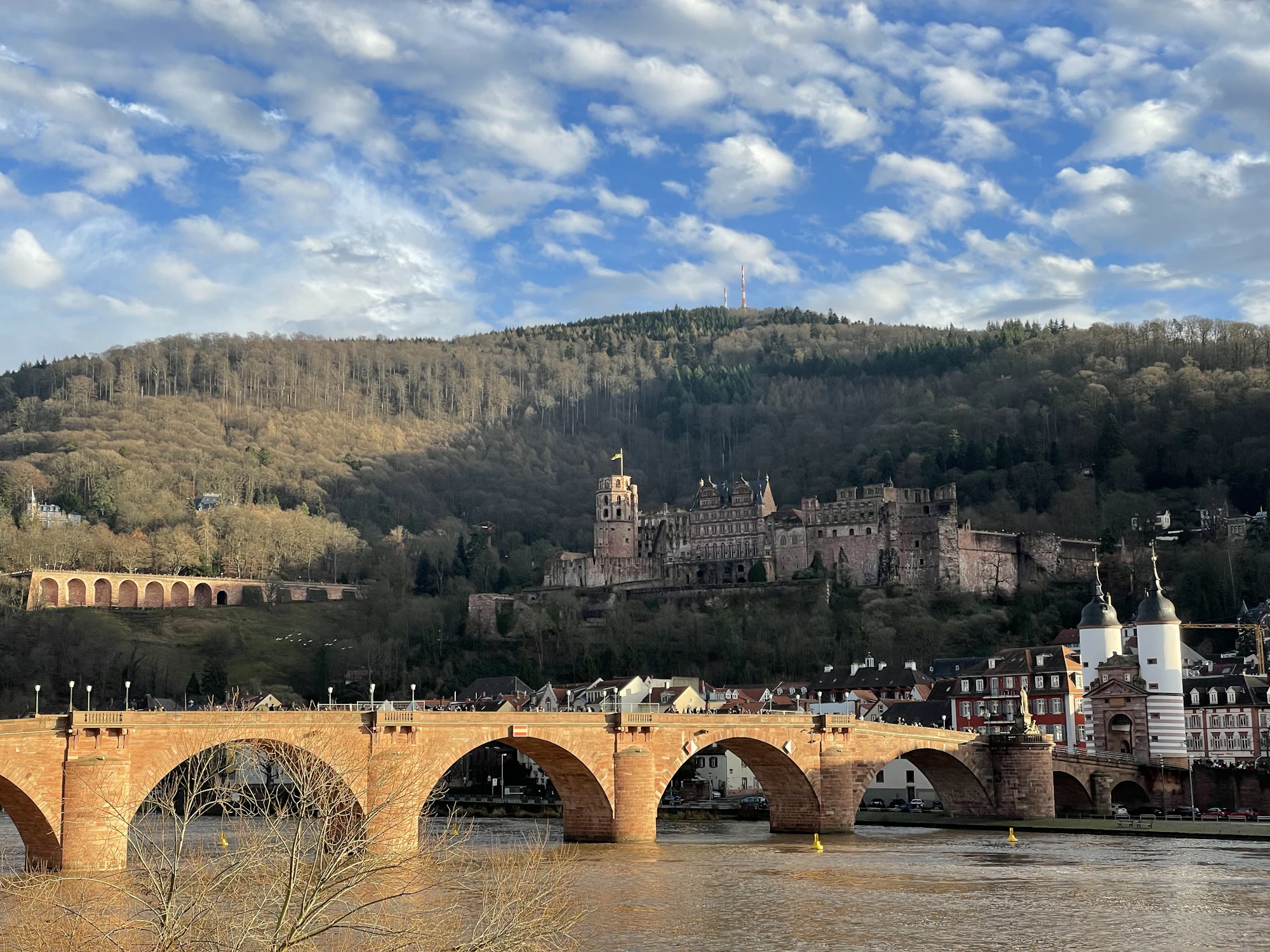 Alte Brücke und Schloss Heidelberg über dem Neckar