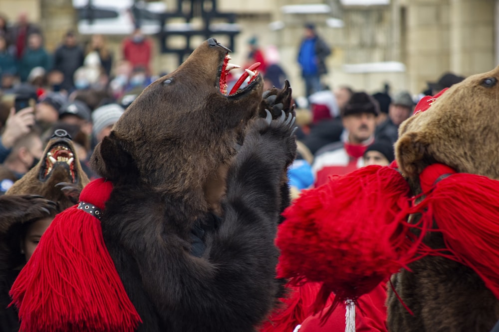 a group of people dressed in bear costumes