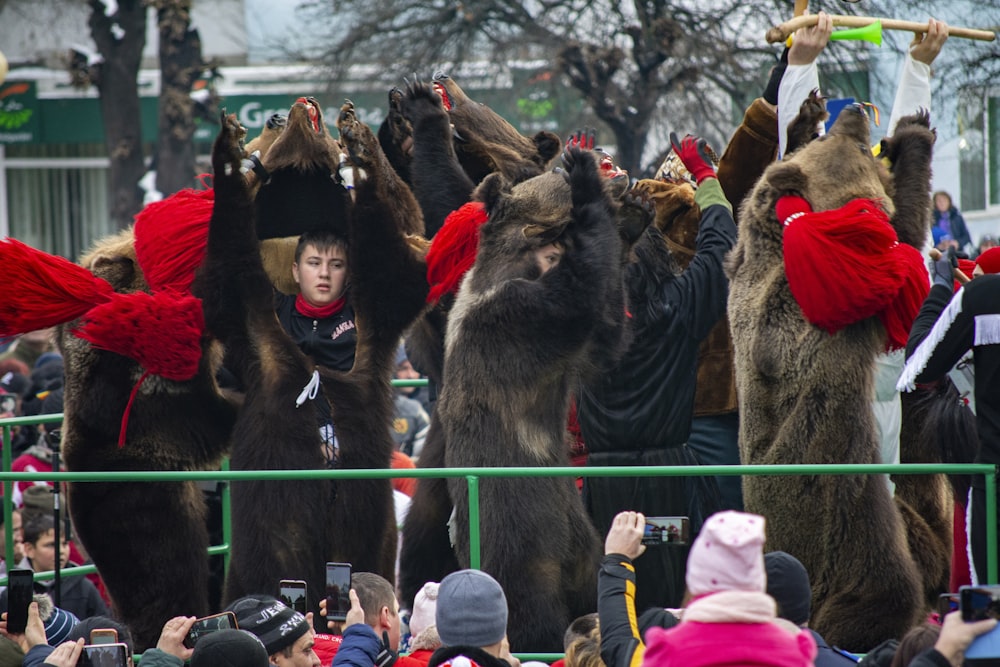 a group of people dressed in bear costumes