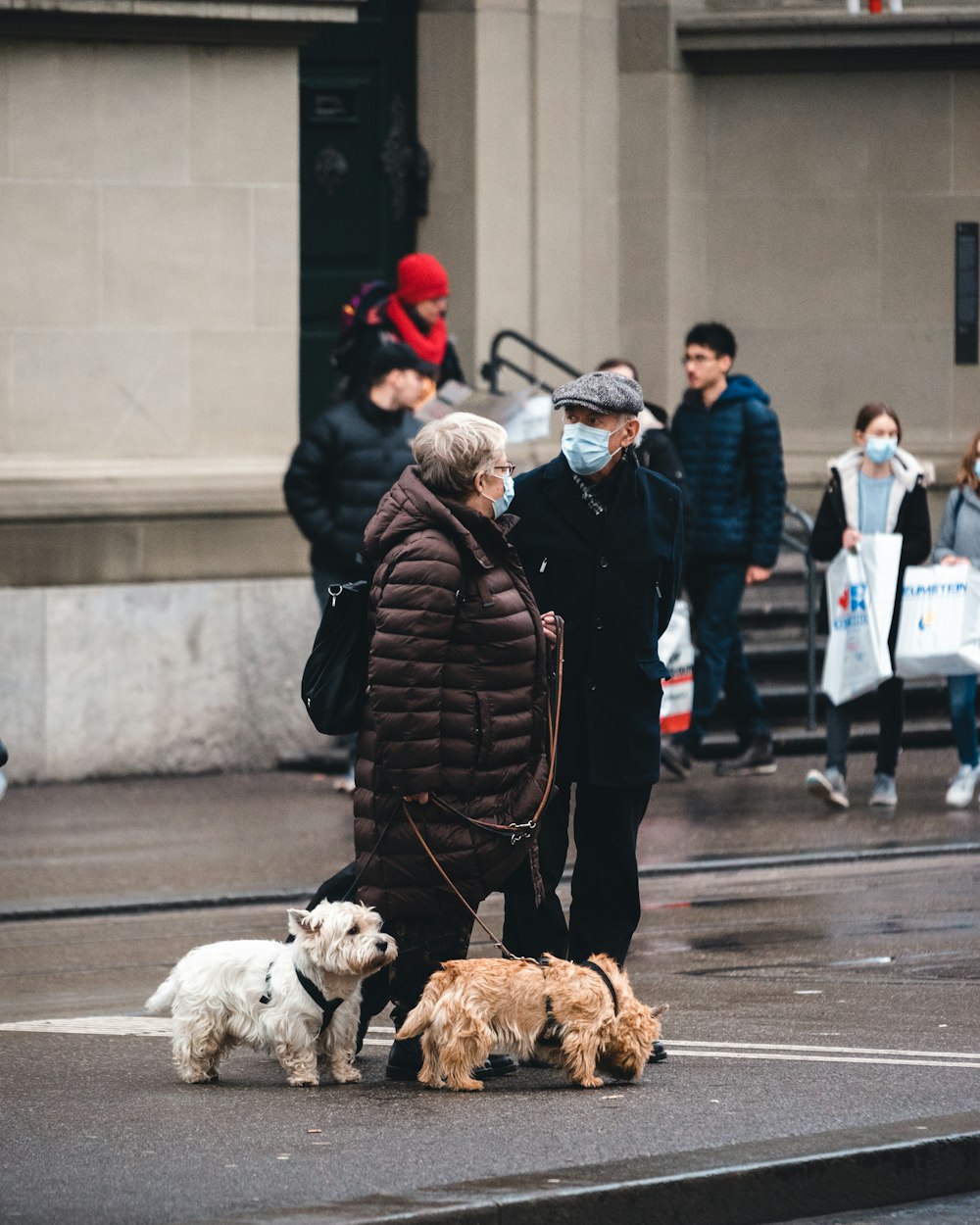 a group of people walking their dogs on a city street