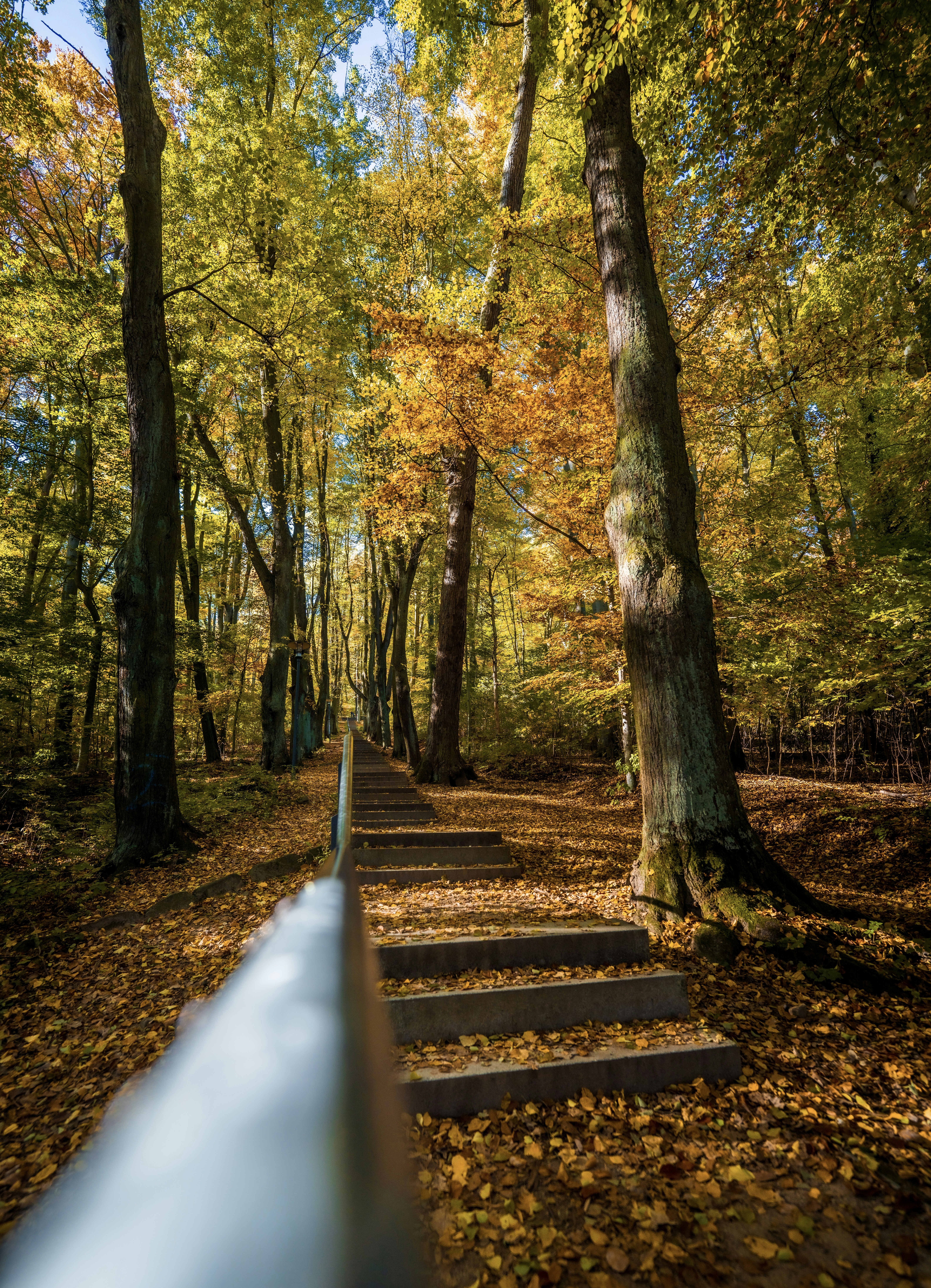 Photo by dmaxsilencer