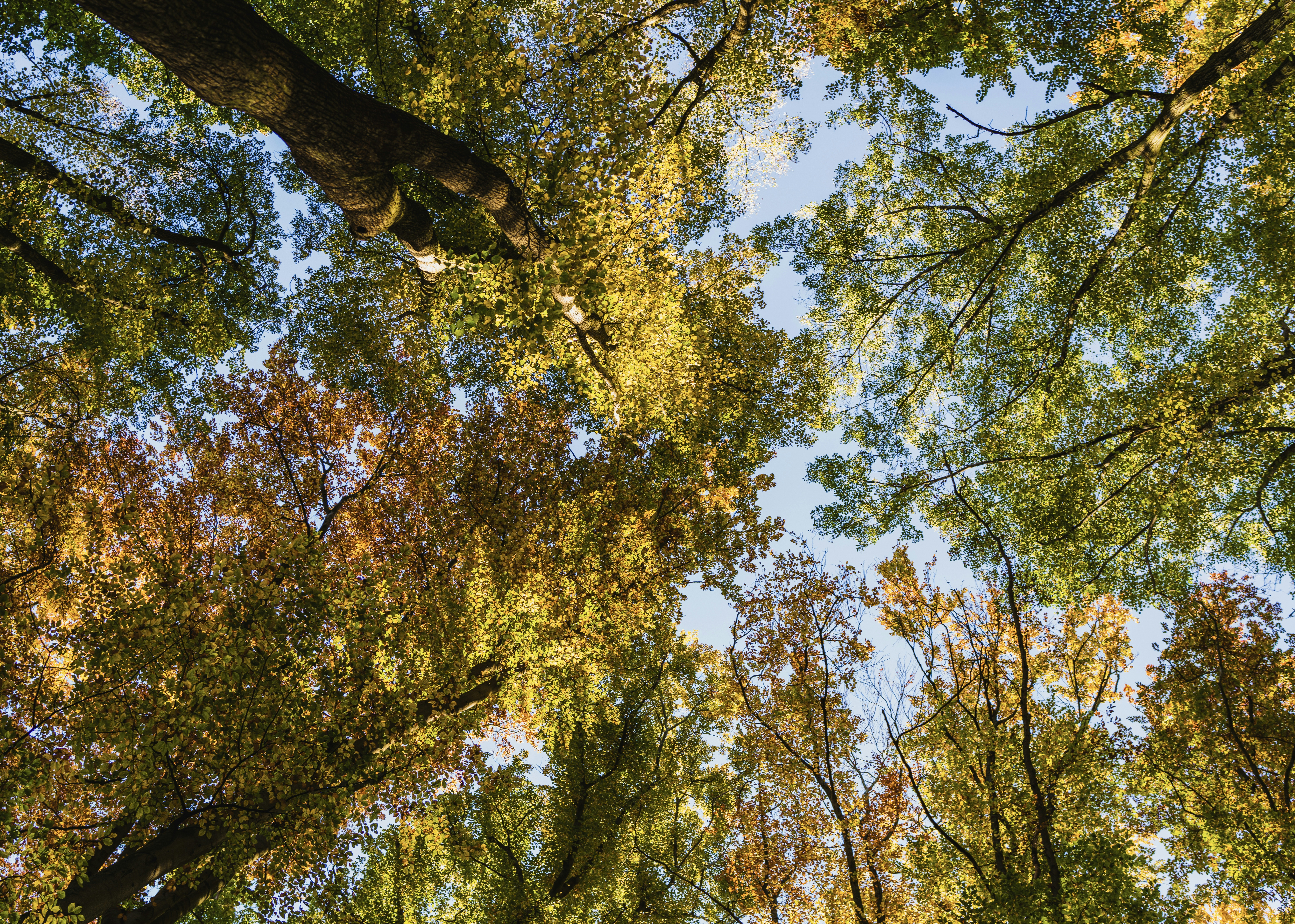 How Earth Changes Are Triggering Your Eco-Anxiety