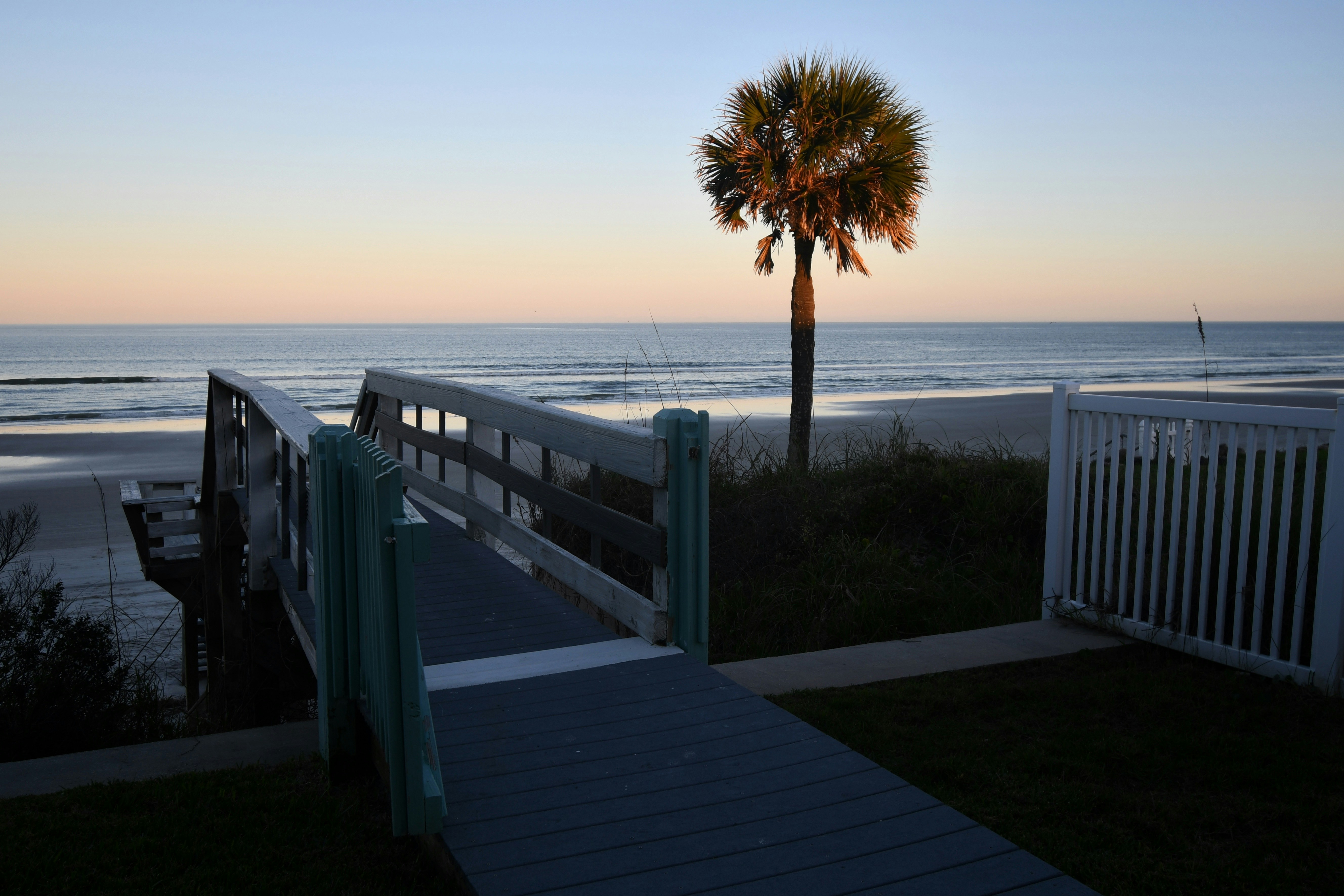 ヤシの木のあるビーチに通じる遊歩道