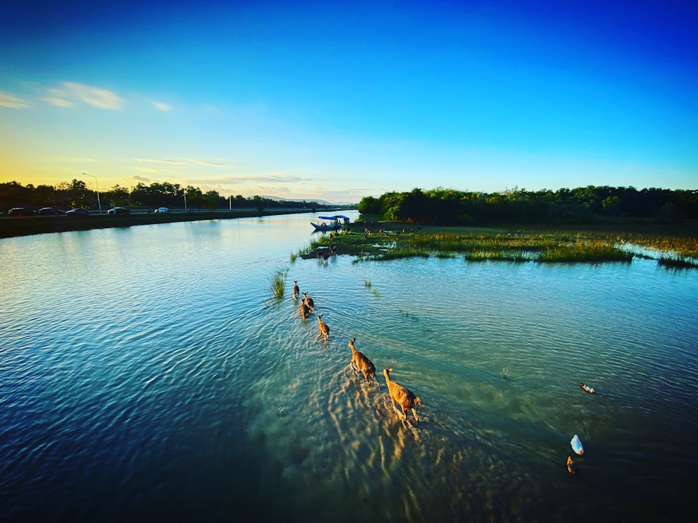 a group of people in a body of water