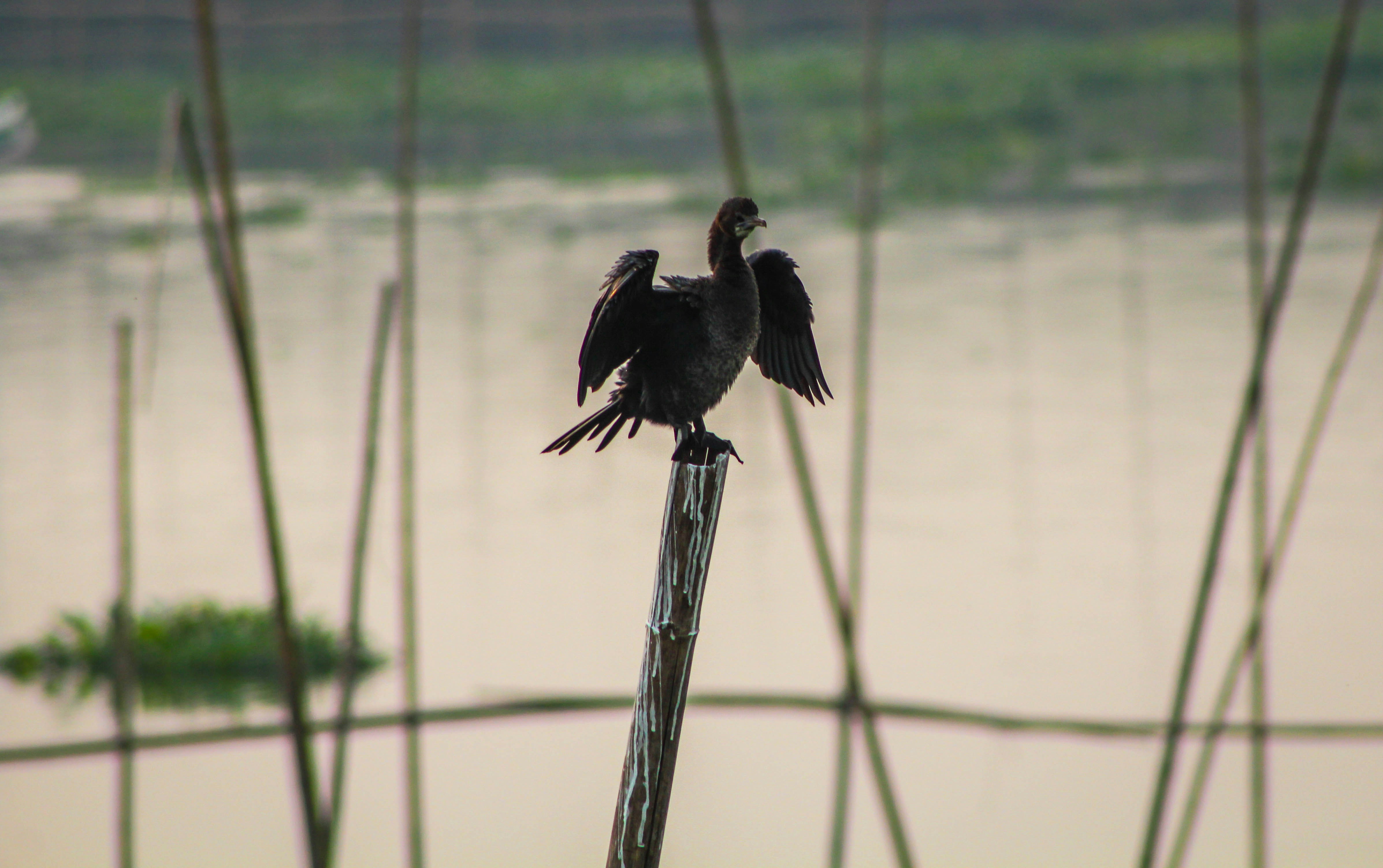 Photo by omerkhan1990