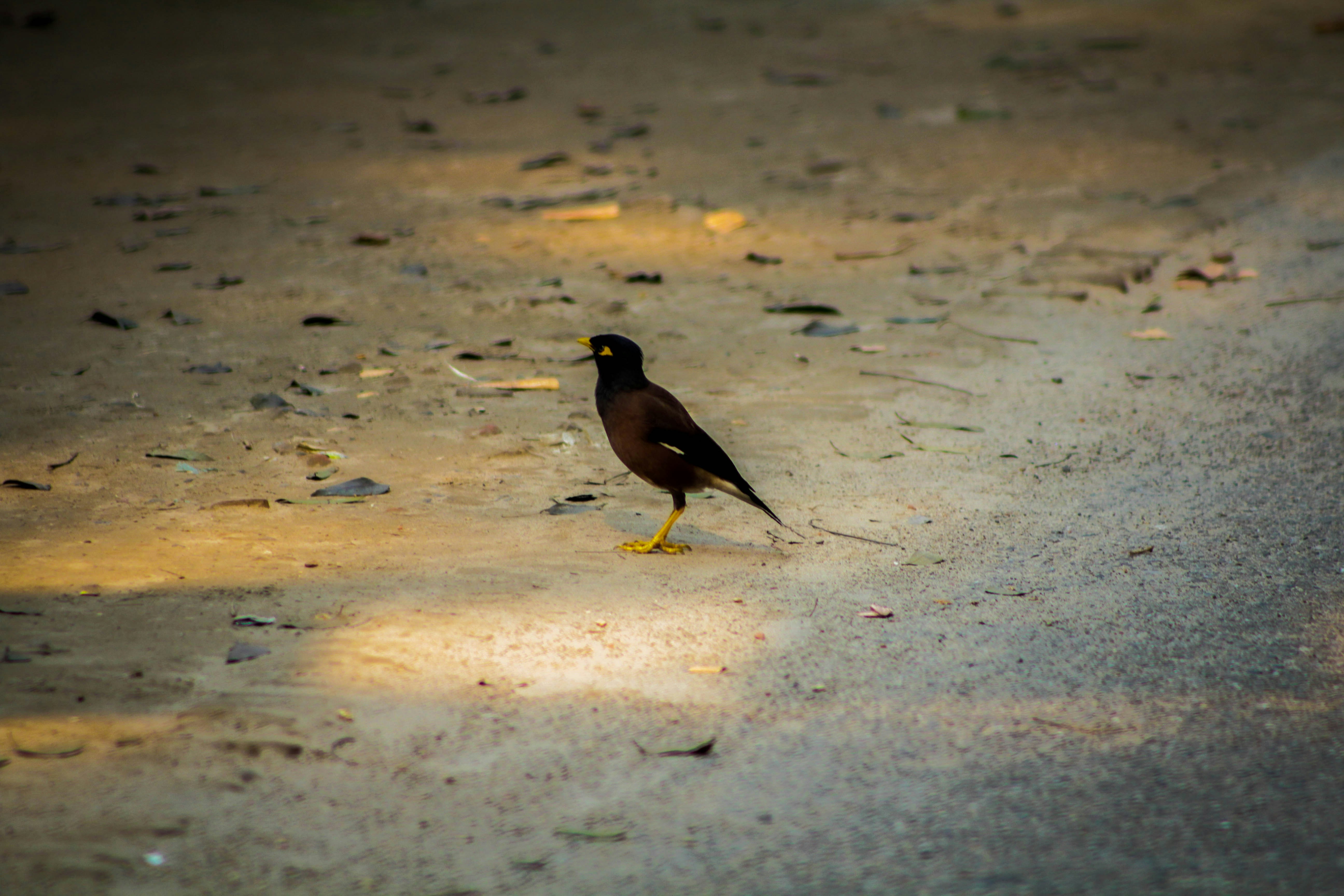 Photo by omerkhan1990