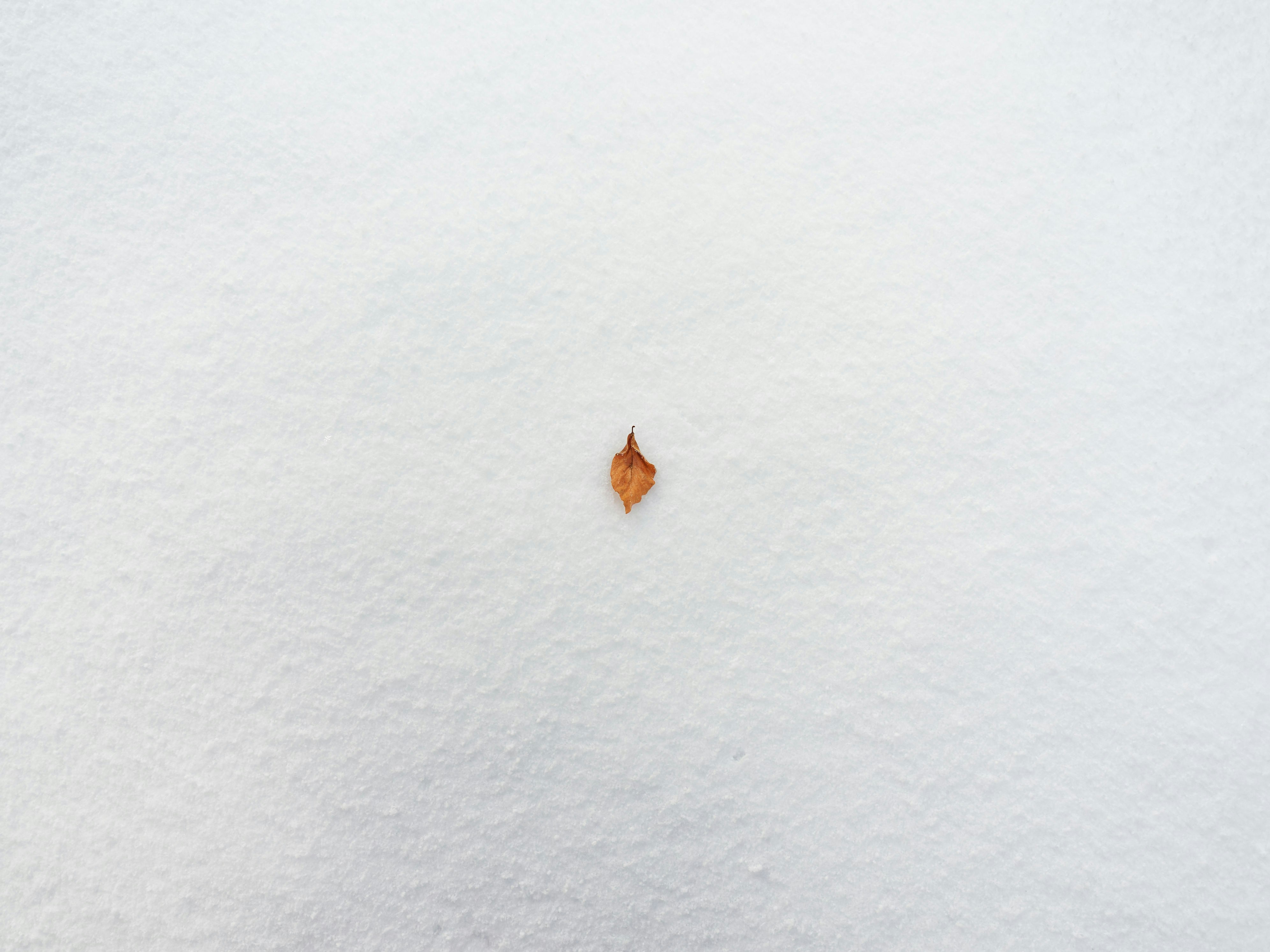 Photo by illes_cristi