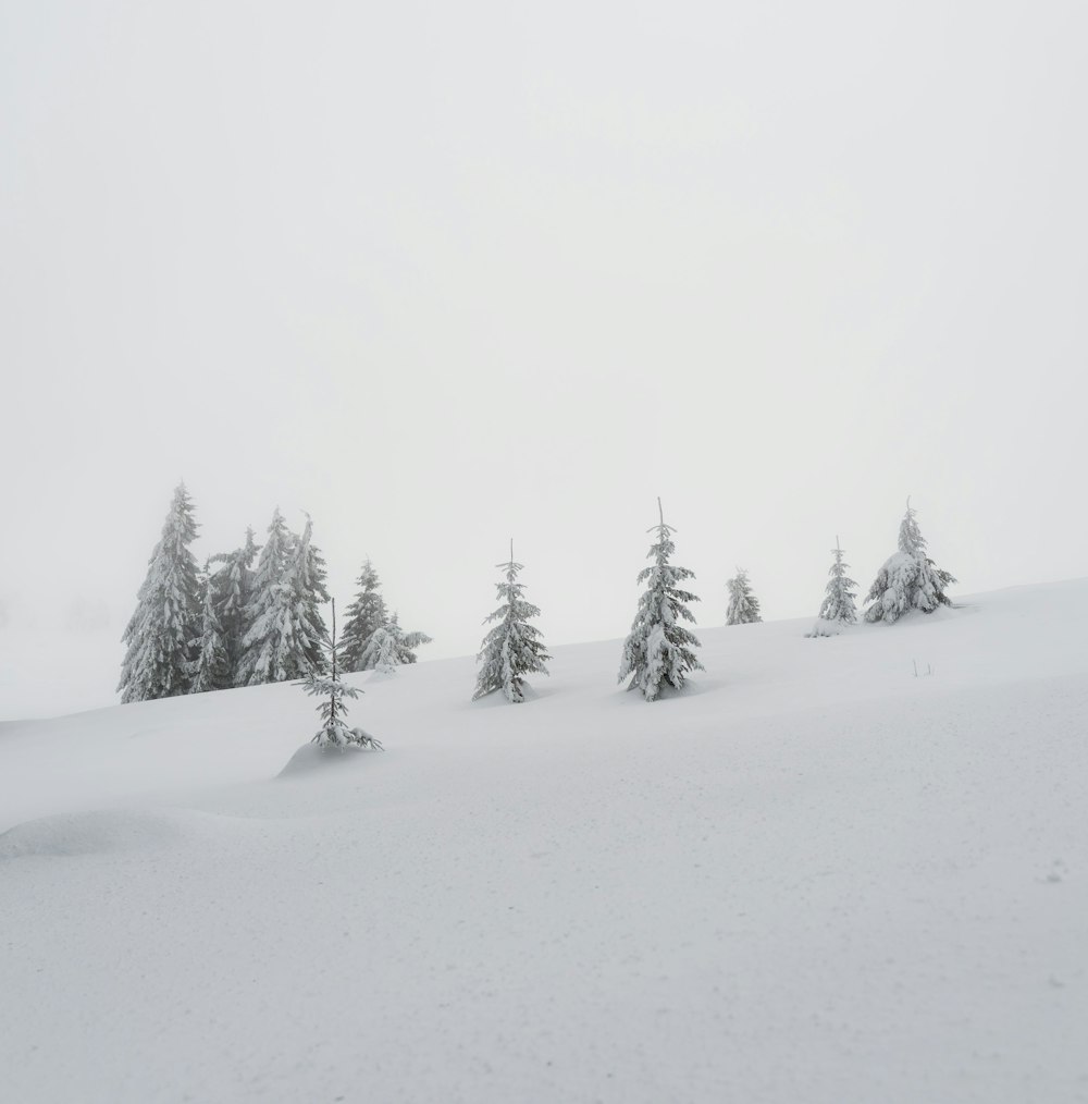 a snow covered hill with trees in the distance