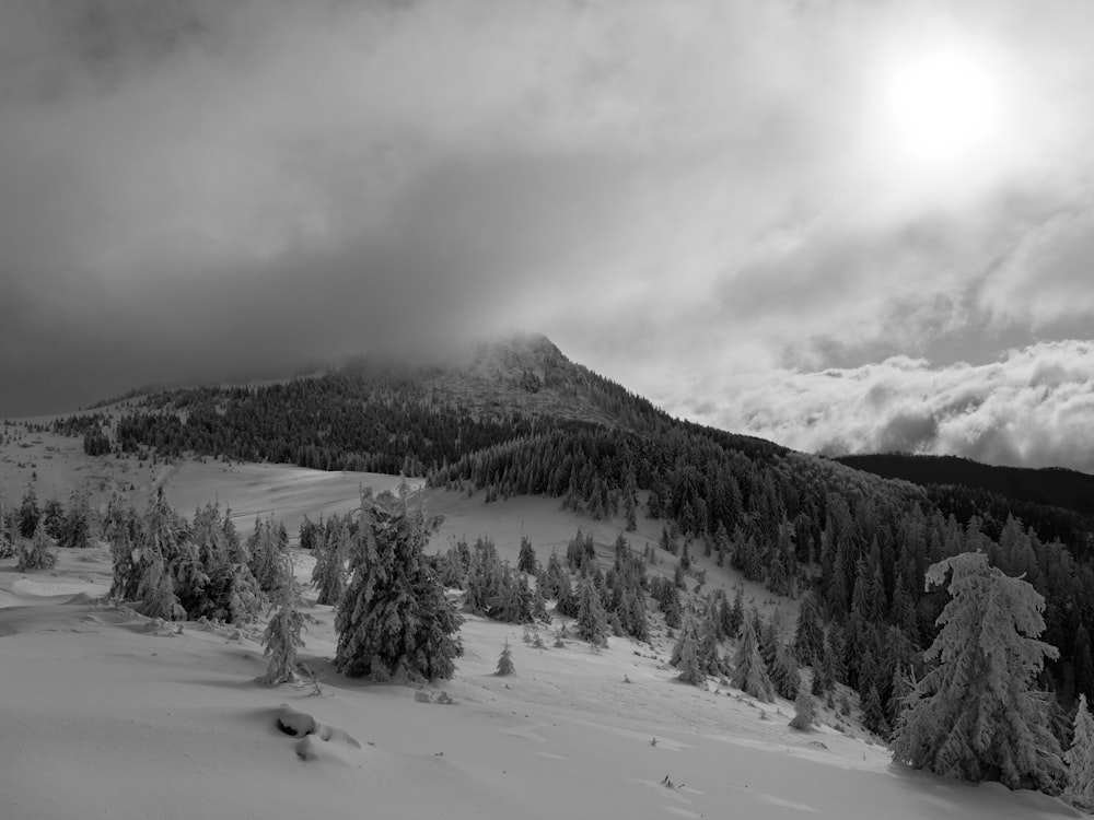 a black and white photo of a snow covered mountain