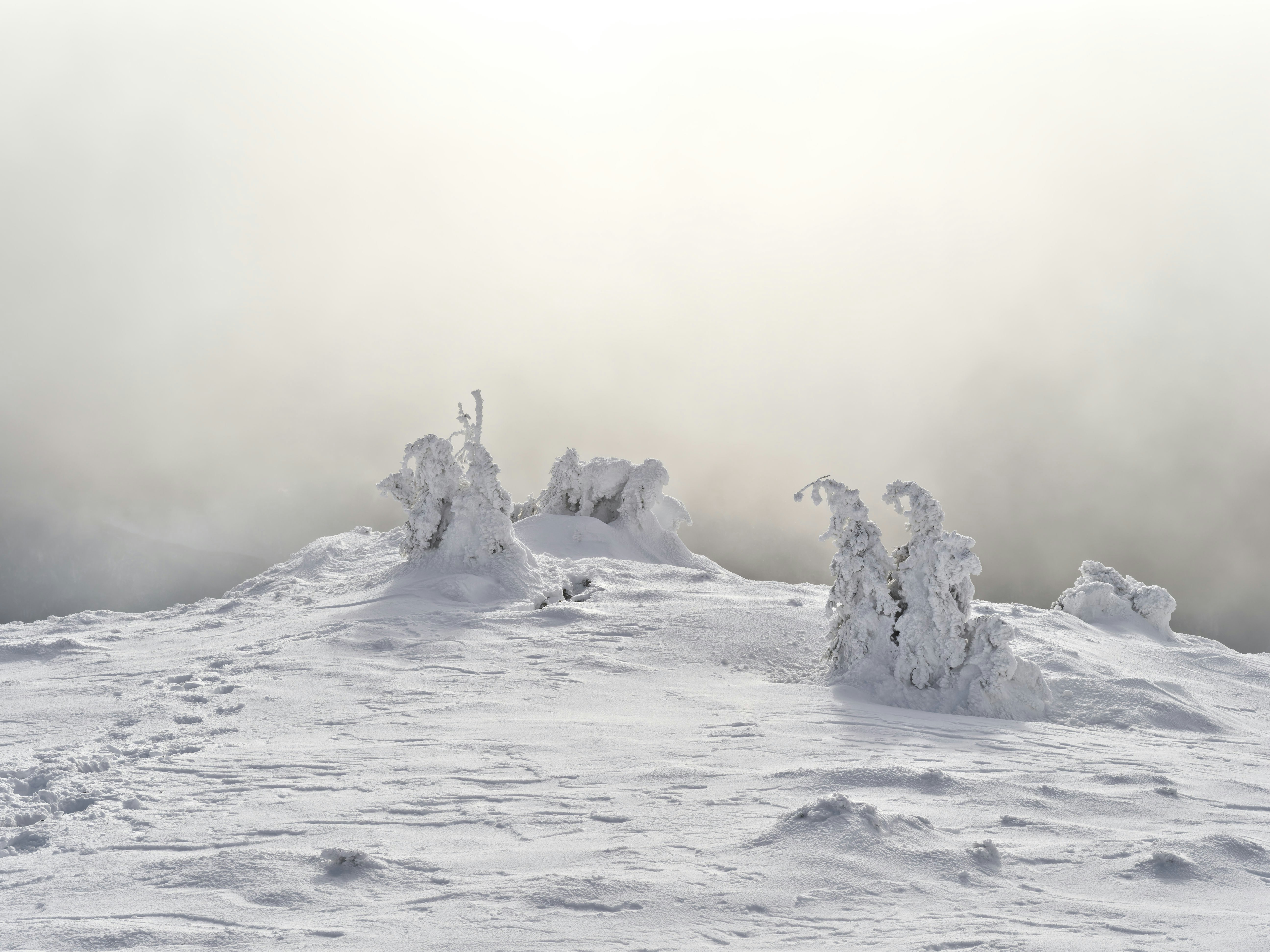 Photo by illes_cristi