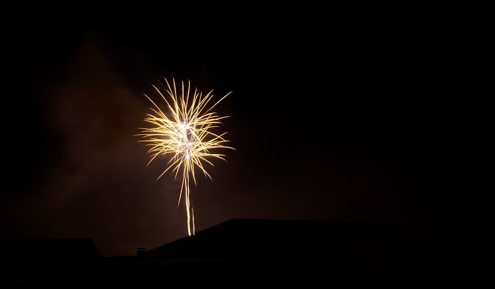 a fireworks is lit up in the night sky