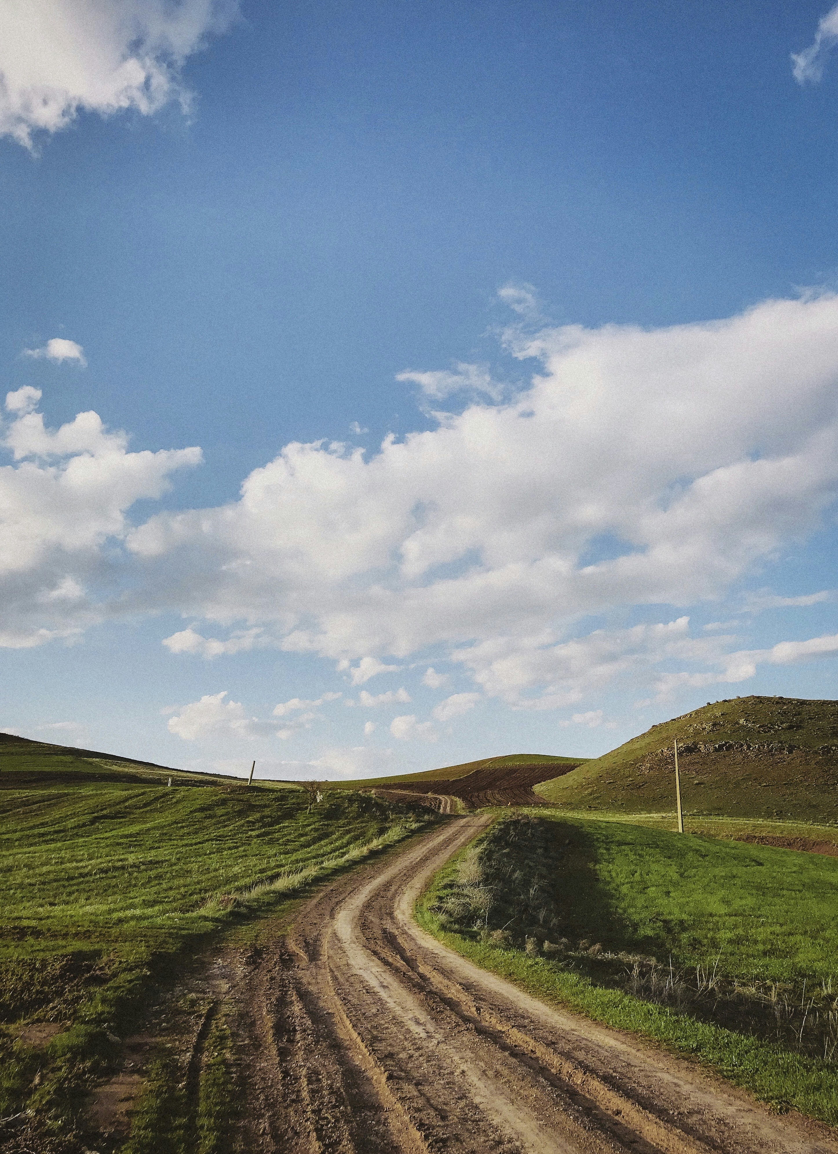 Photo by sheydanajafi