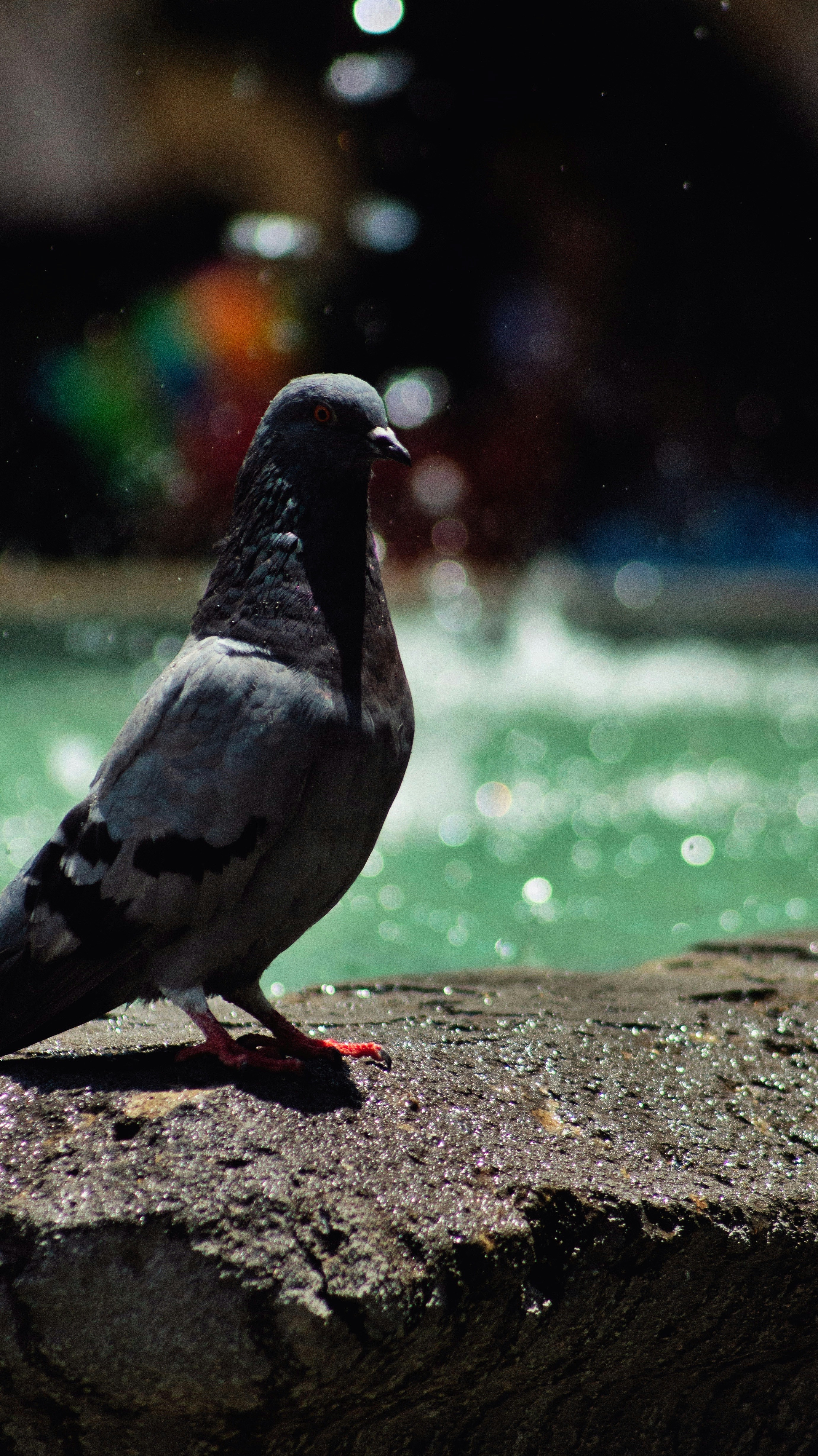 Photo by someghost95