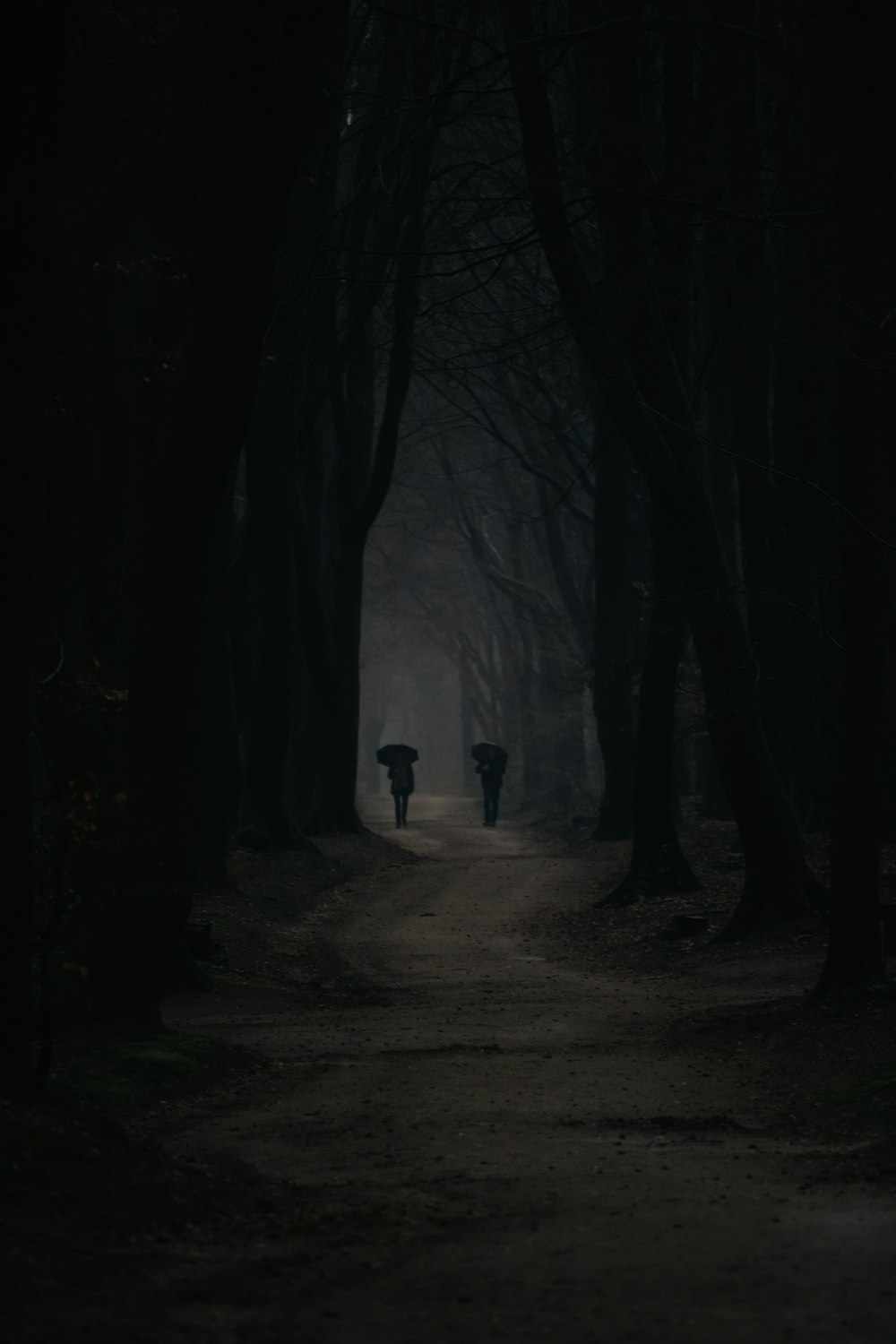 two people walking down a dark path in the woods