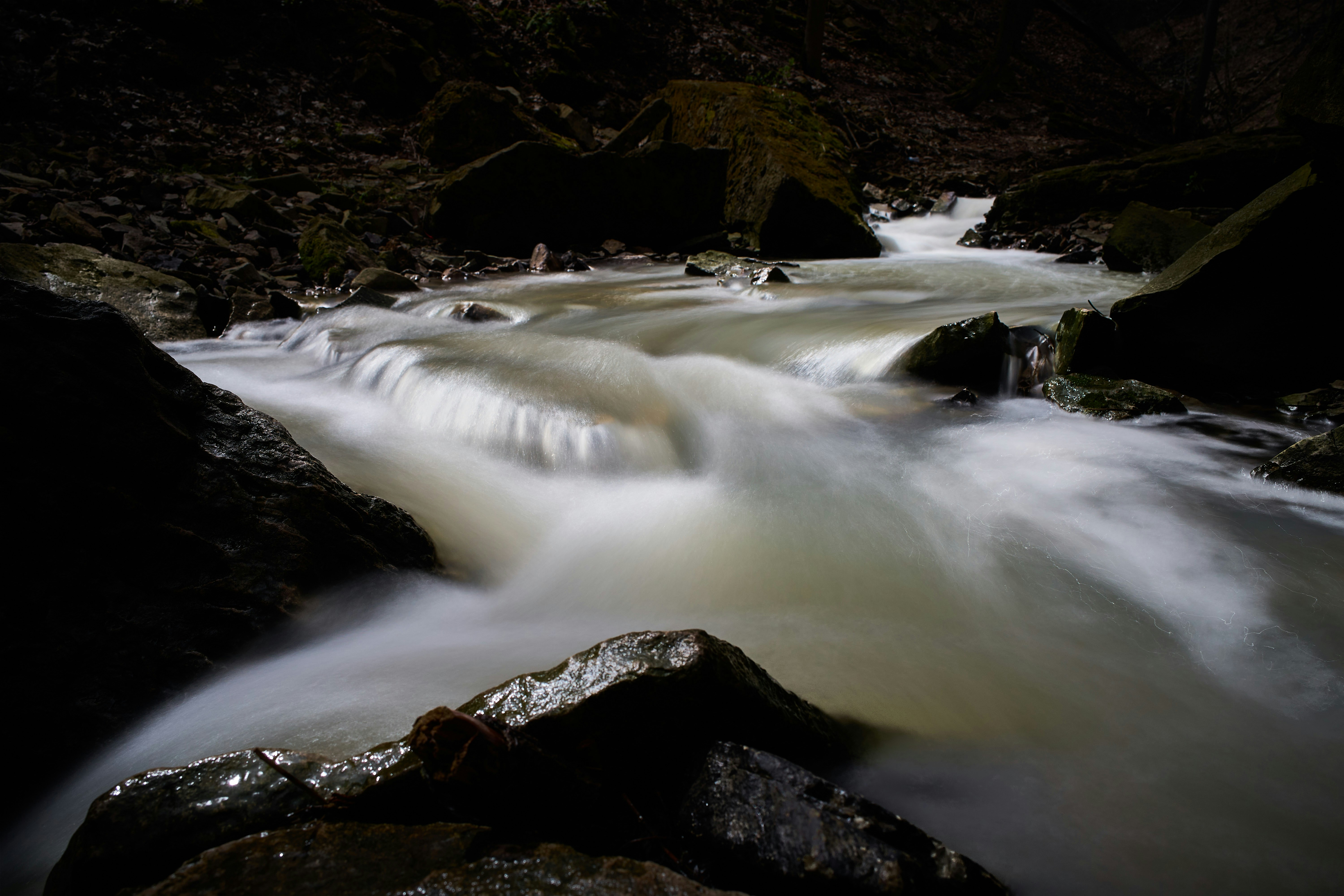 Photo by wolfgang_hasselmann