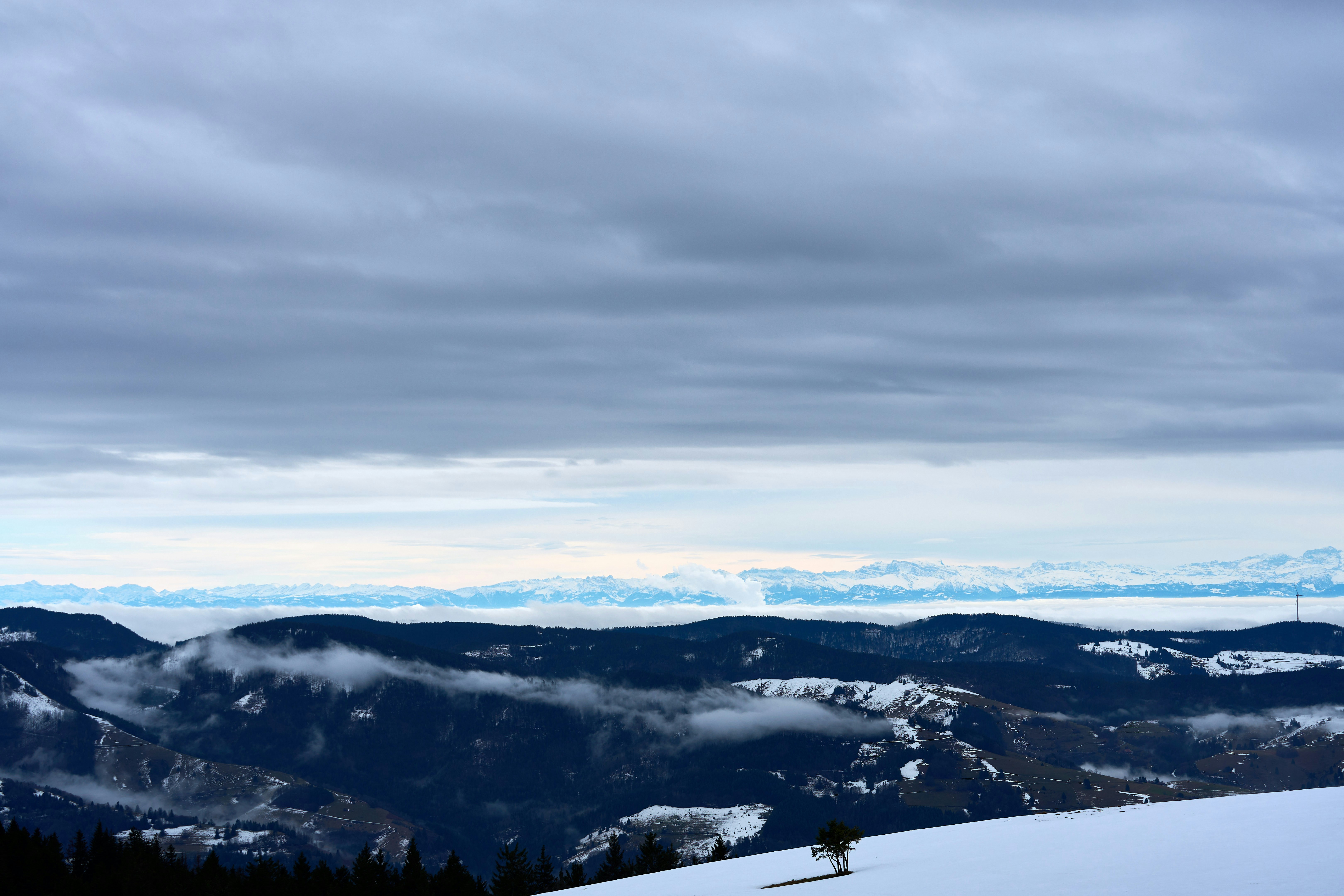 Photo by wolfgang_hasselmann