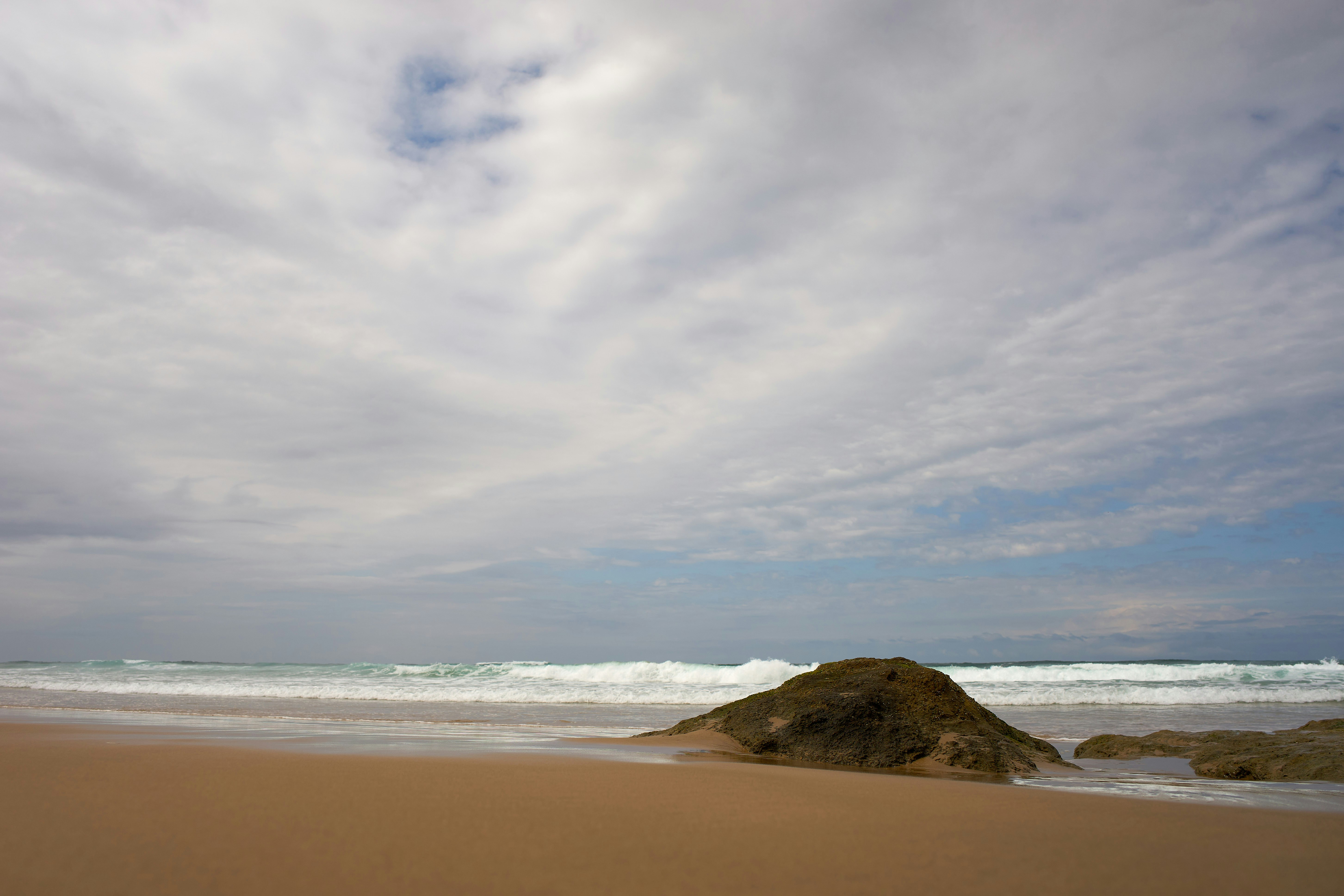 Photo by wolfgang_hasselmann