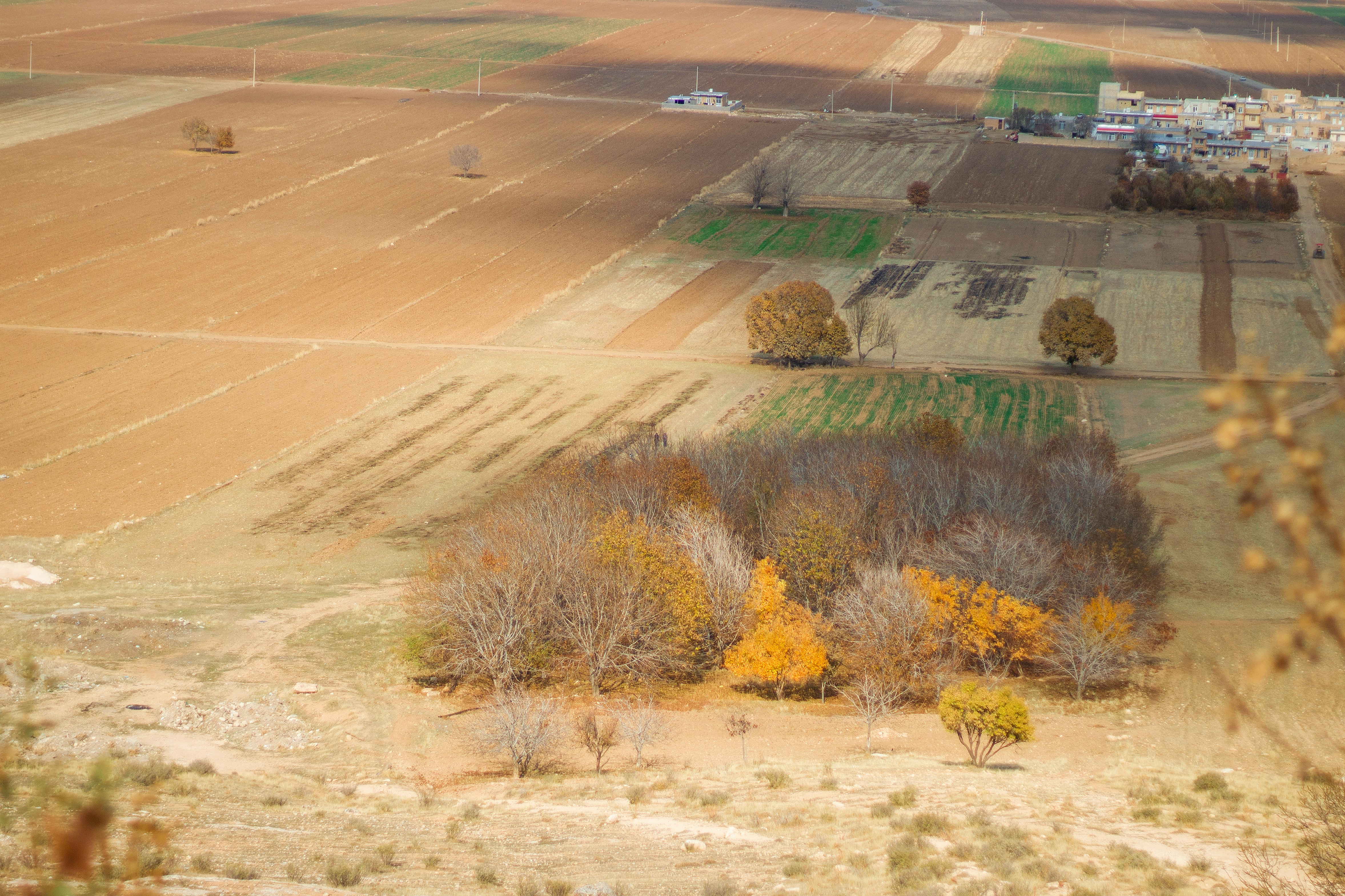 Bar chart showing sample landowner liability insurance premiums: 10 acres at $225 minimum, 100 acres at $300, 500 acres at $575, and 1000 acres at $1,025 annually - landowner liability insurance