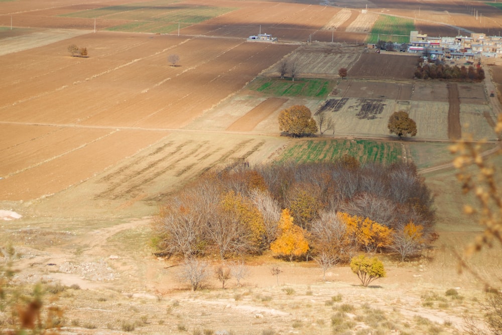 an aerial view of a farm field with a few trees