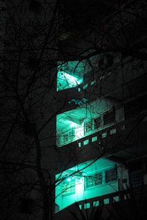 Several stories of a building lit by teal lights are visible through leafless branches. The stark contrast between the bright lighting and the darkness of the night creates a mysterious atmosphere.
