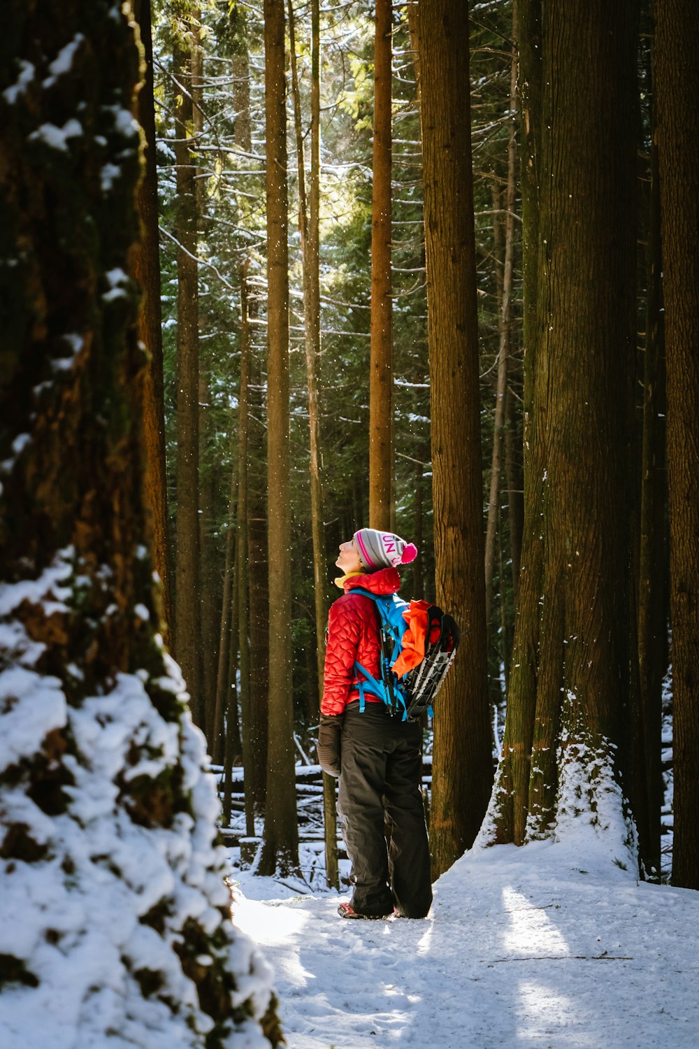 a person in a red jacket is walking through the woods