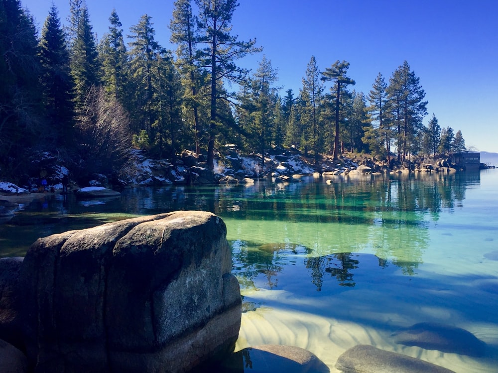 a body of water surrounded by trees and rocks