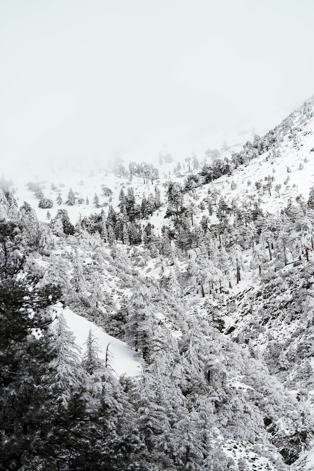 a black and white photo of a snowy mountain