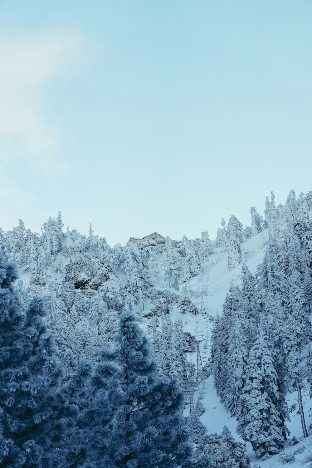 a snow covered mountain with trees and a sky background