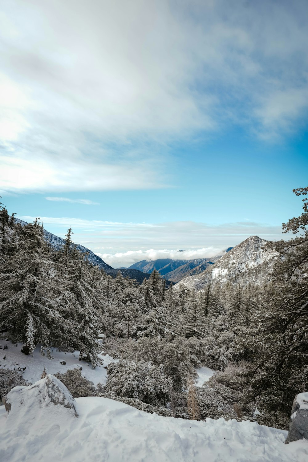 a view of a snowy mountain with trees and mountains in the background