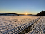 A scenic view of the sun setting over the snow-covered fields with sled tracks leading into the distance.