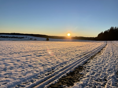 A scenic view of the sun setting over the snow-covered fields with sled tracks leading into the distance.